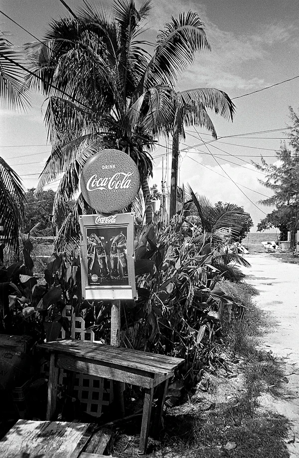 Caye Caulker, Belize photo 2