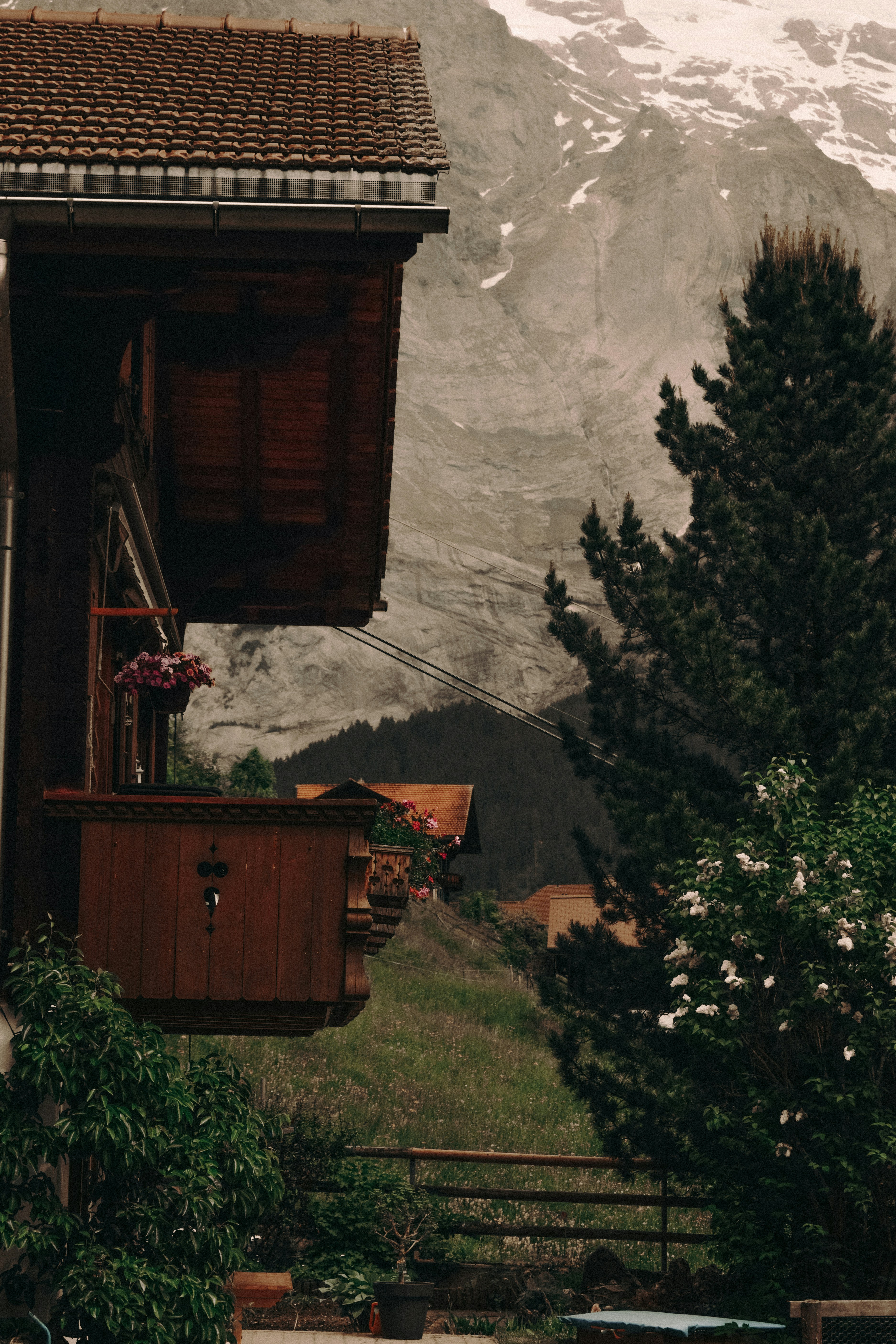 Photo by annaacurcan