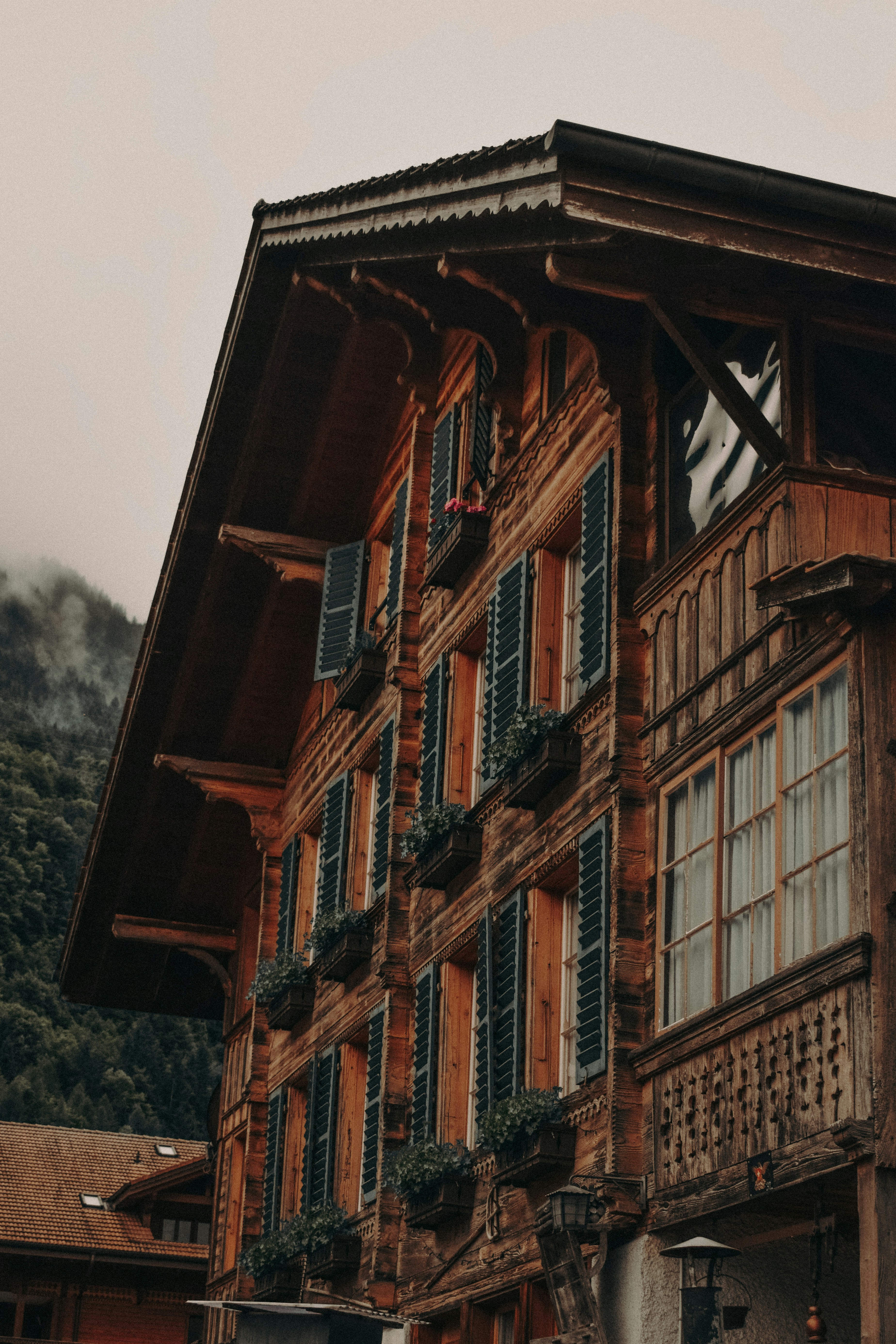 Epigenetic Reprogramming: Resetting Your Cells to a Younger State