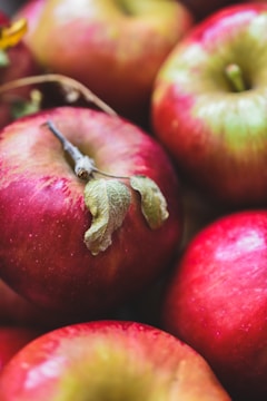 Close-up of fresh apples ready to be picked and shared.