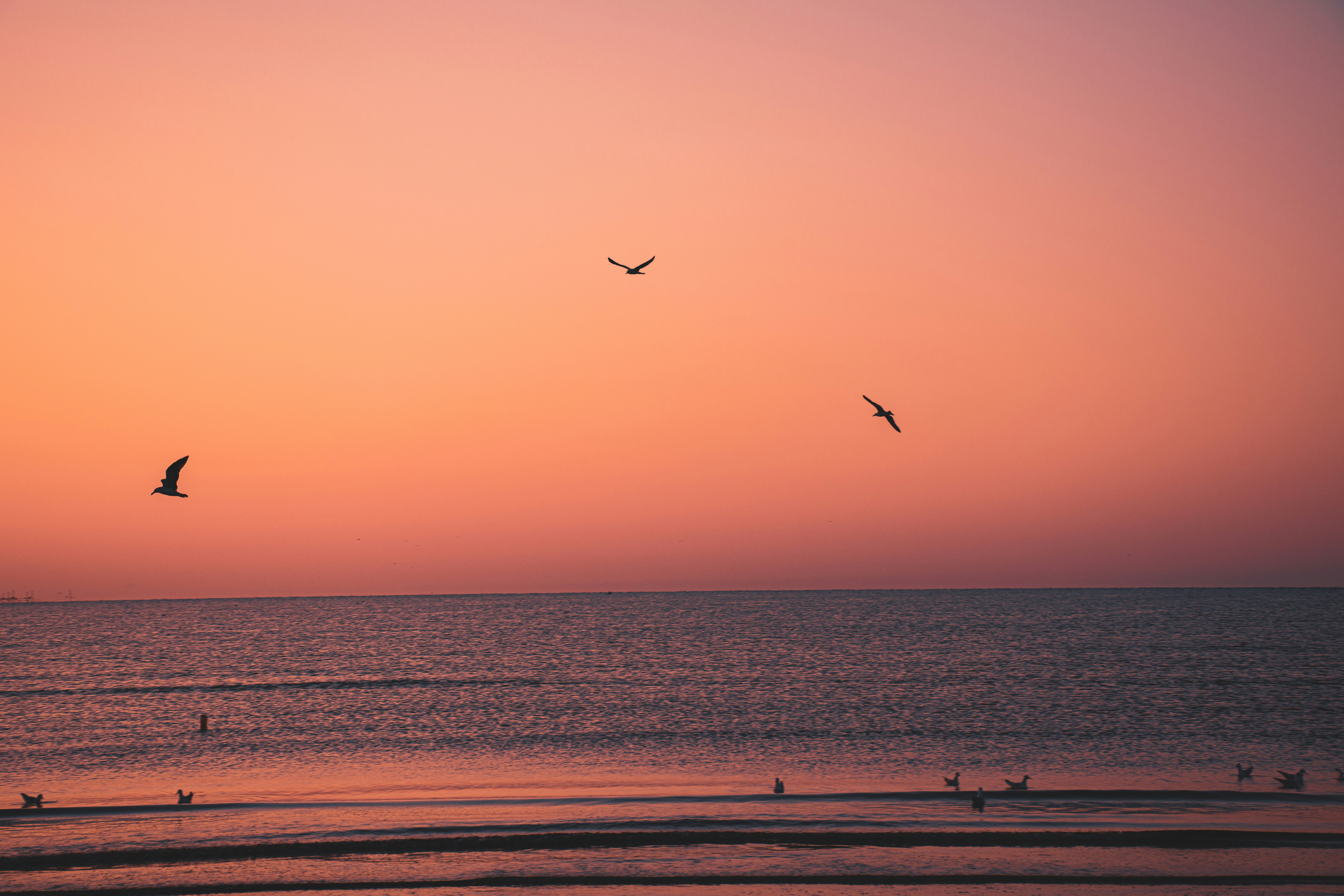 Photo by thatsmihai