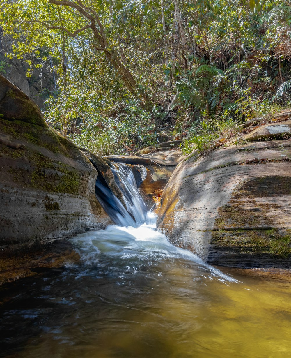 Ein Wasserfall im Wald