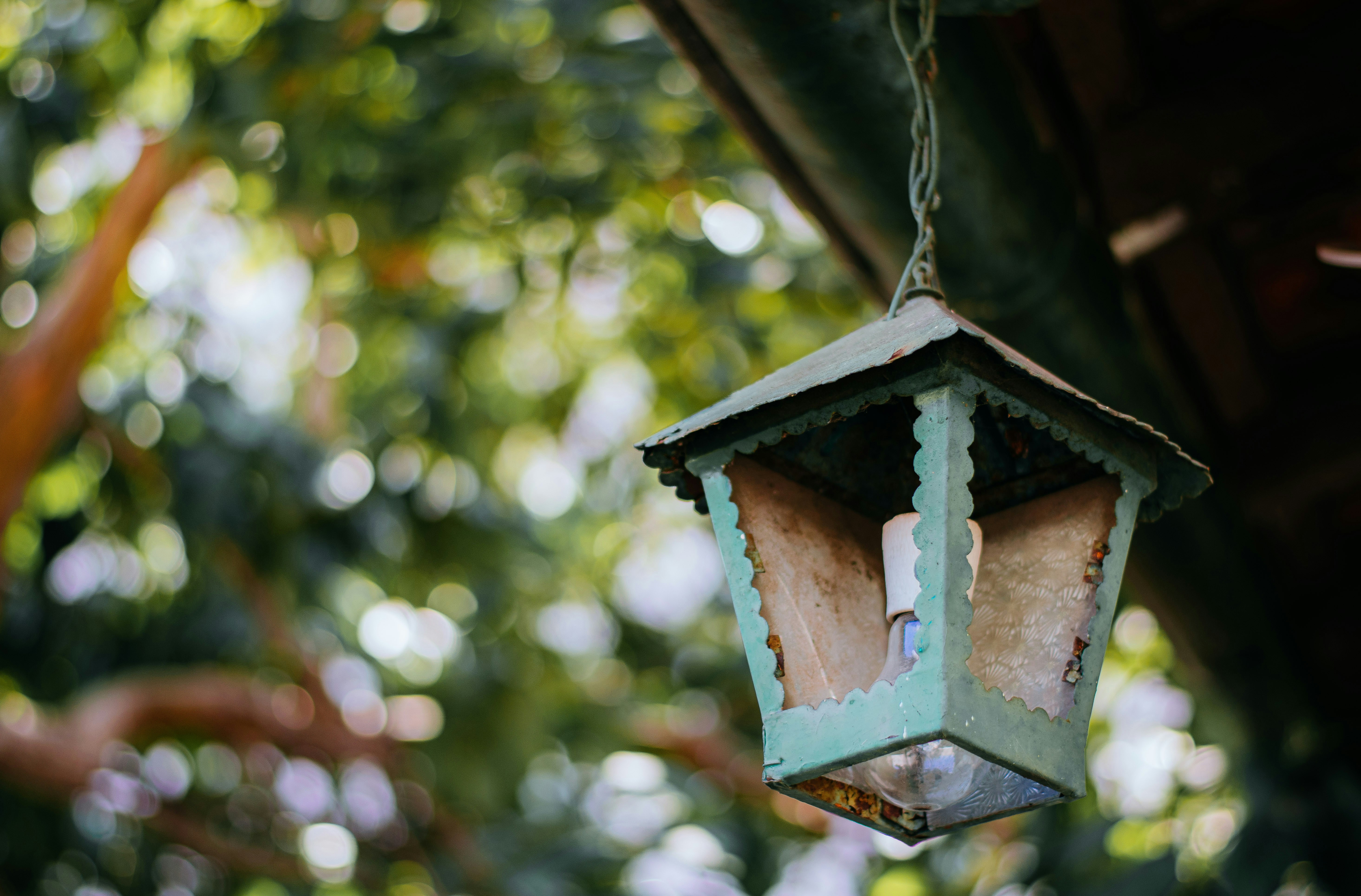 Photo by bnsouzafotografia