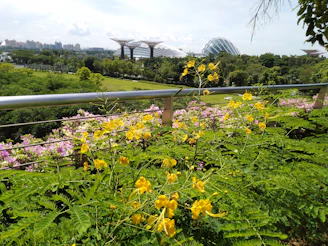 A vibrant community garden in Baixada Fluminense with people planting trees under a bright mustard yellow sky.