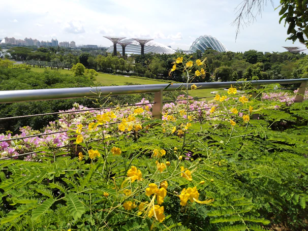 A vibrant community garden in Baixada Fluminense with people planting trees under a bright mustard yellow sky.
