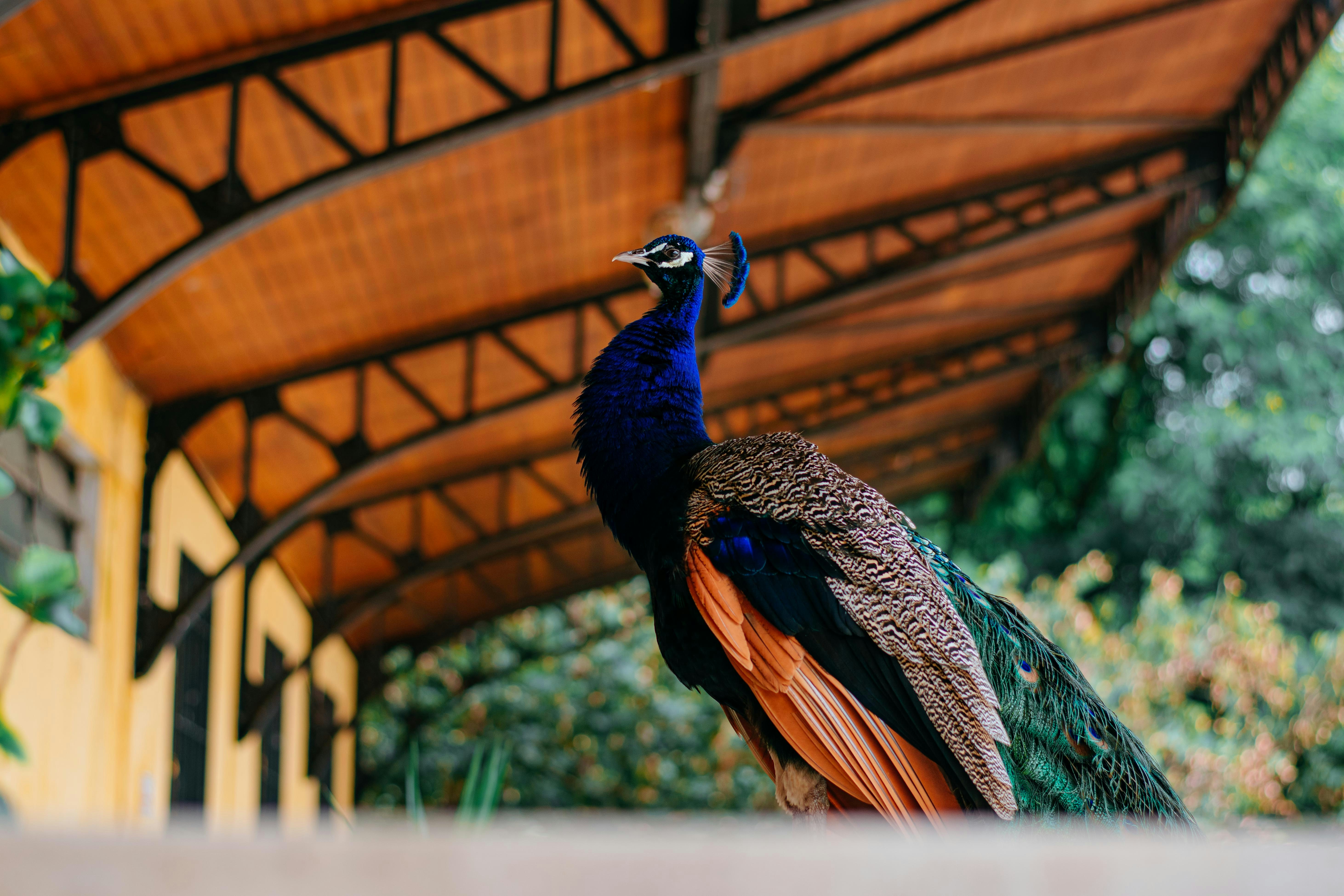 Photo by bnsouzafotografia