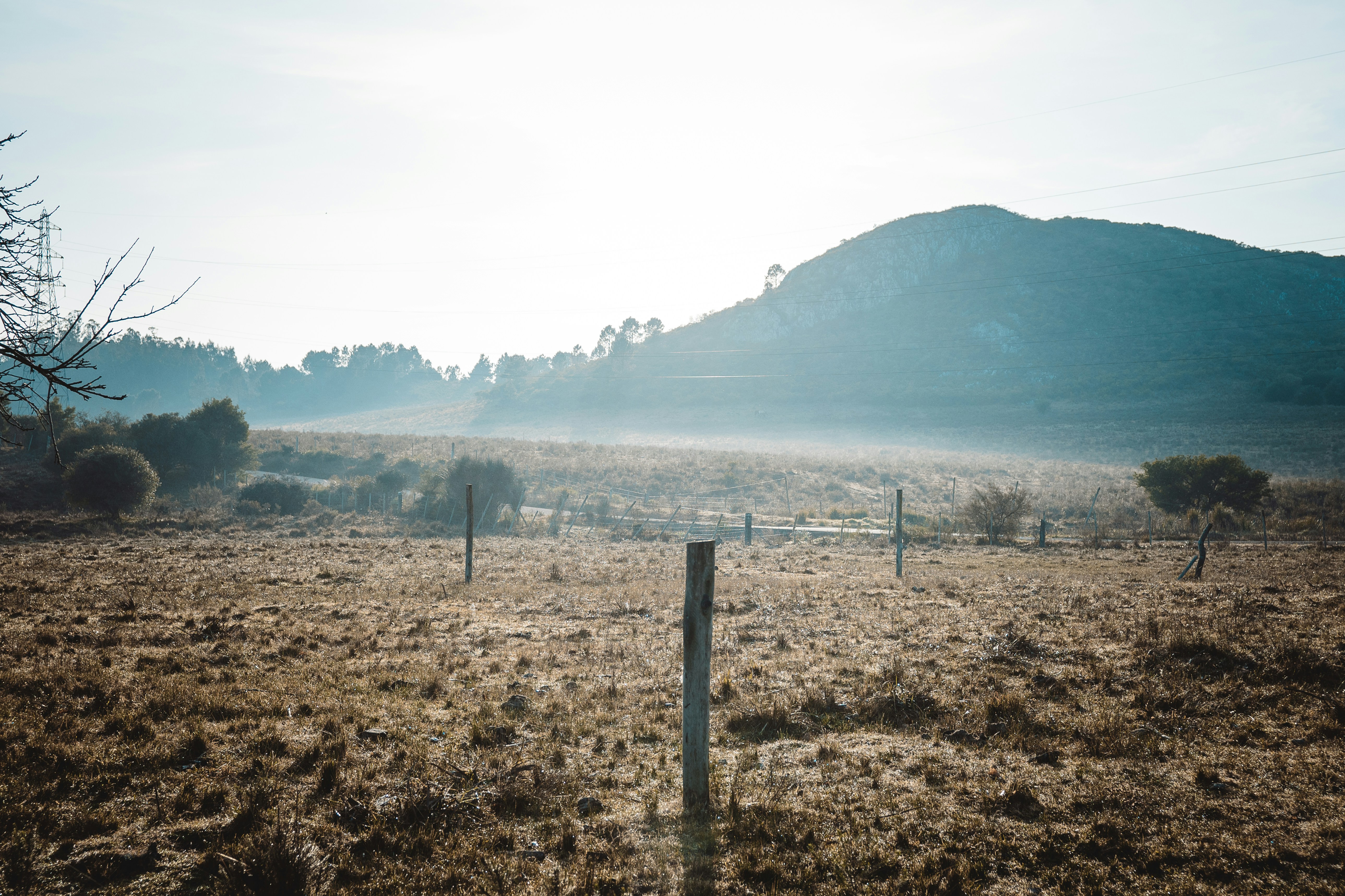 Photo by gonchifacello