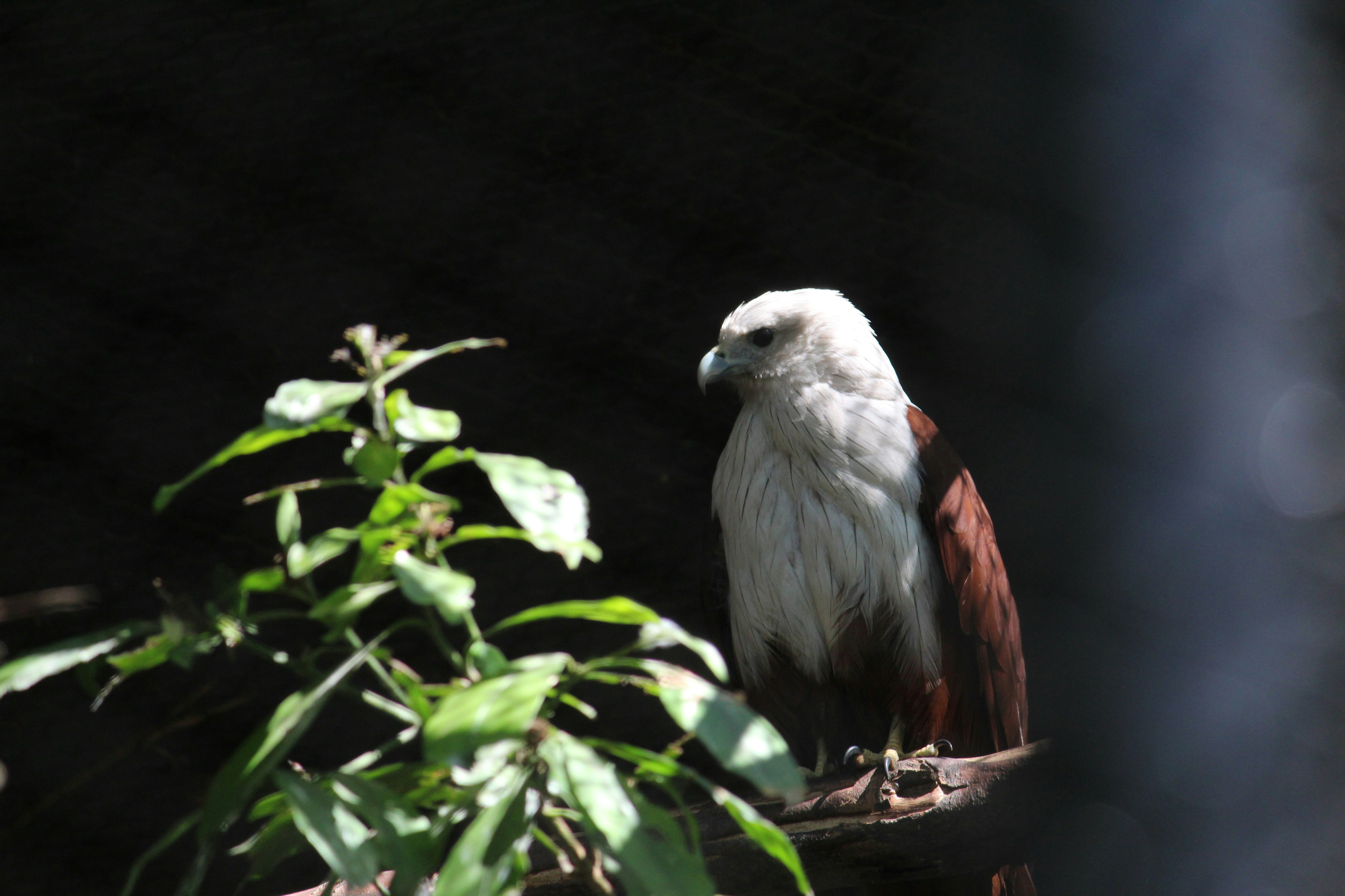 Photo by praneshkumar_