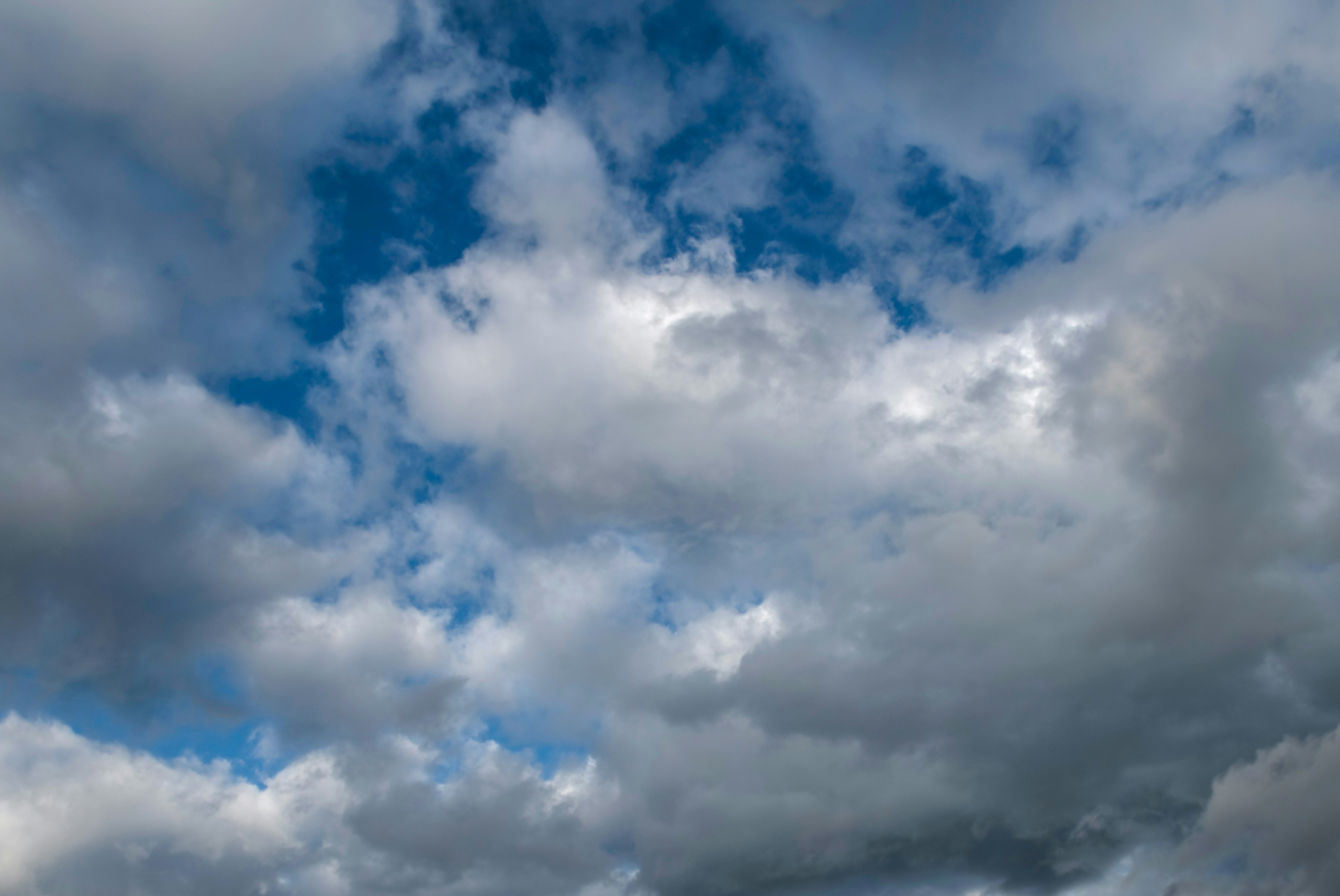 Photo by michael_gallery308