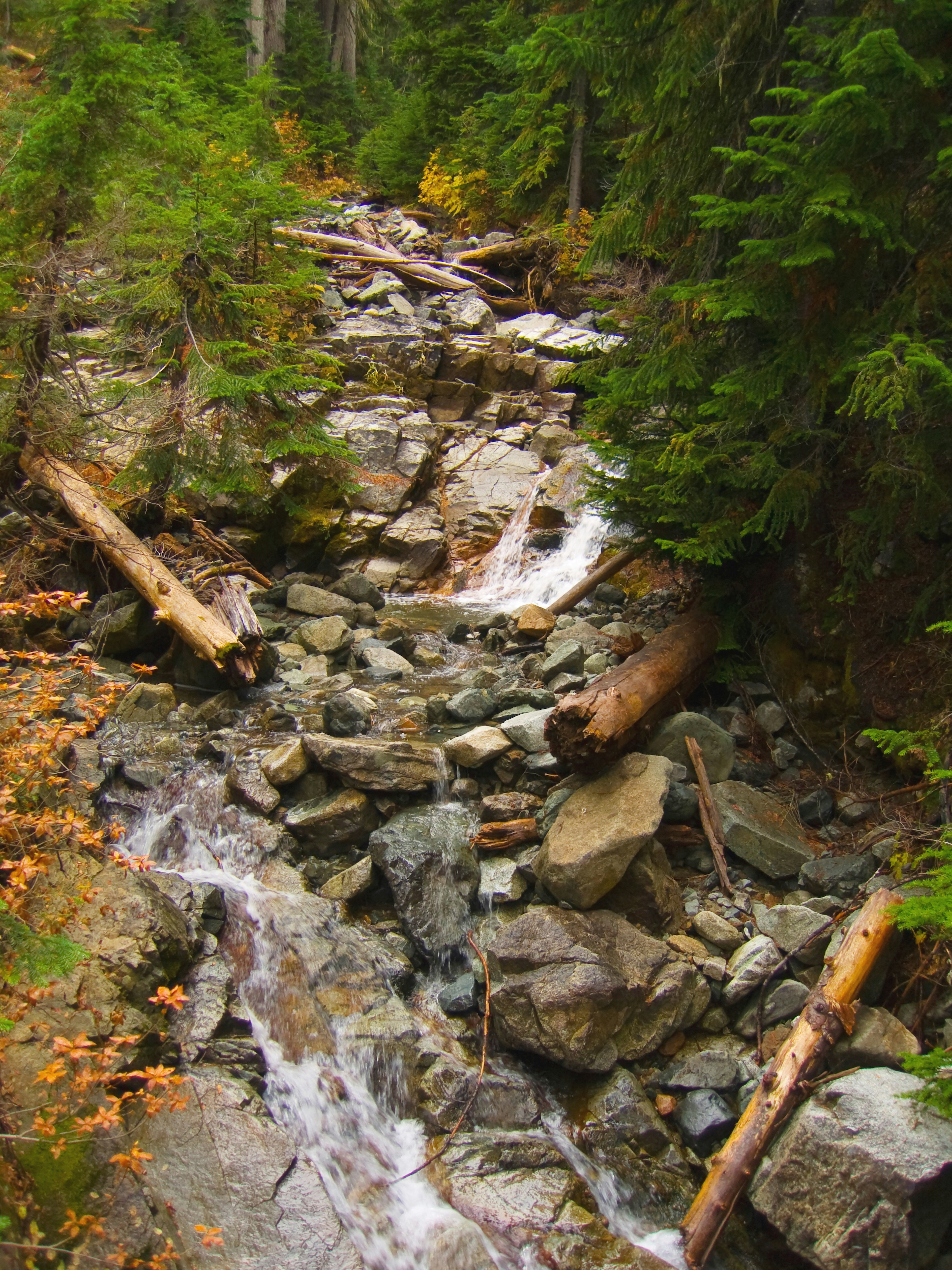 Photo by michael_gallery308