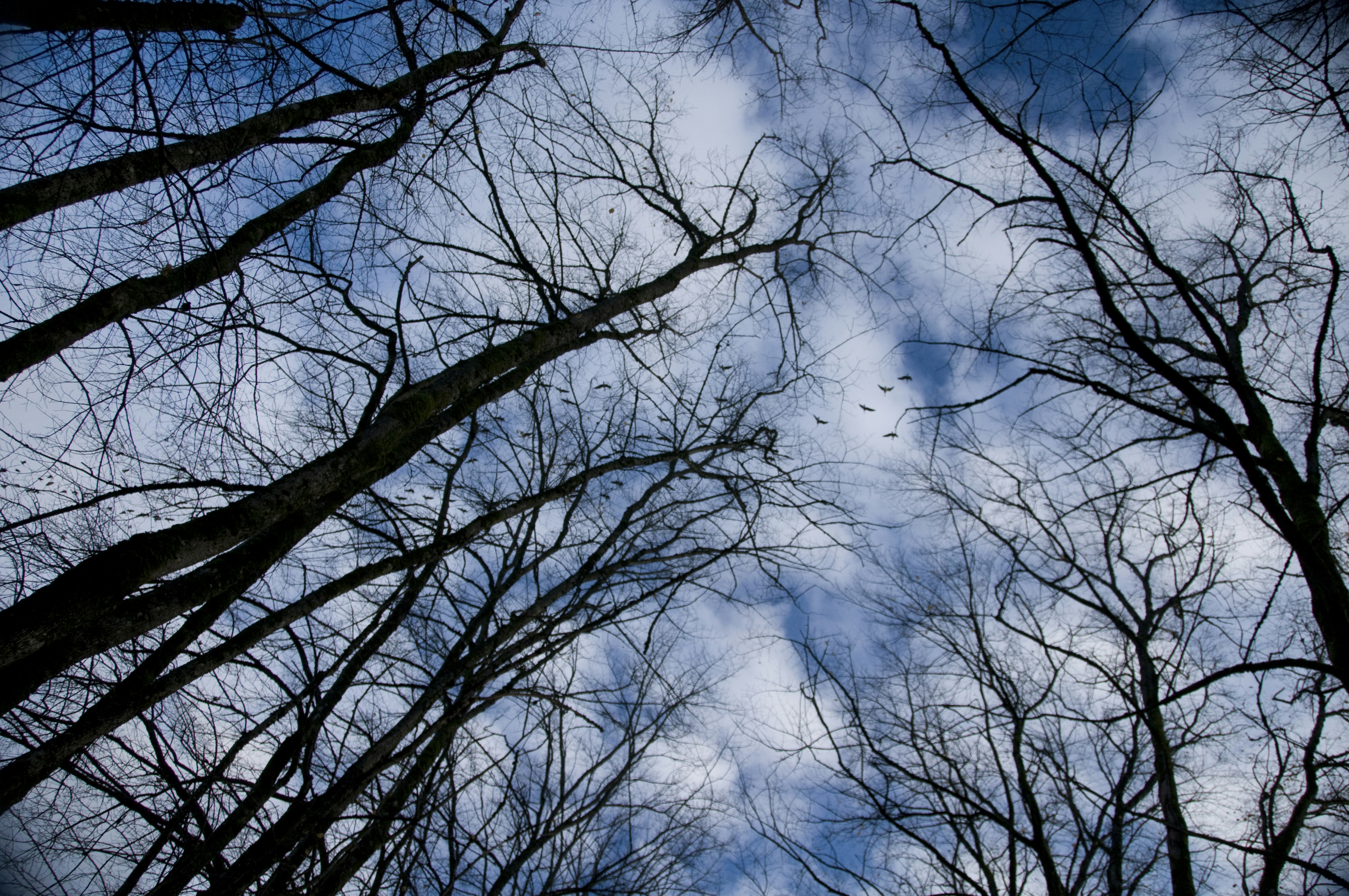 Photo by michael_gallery308