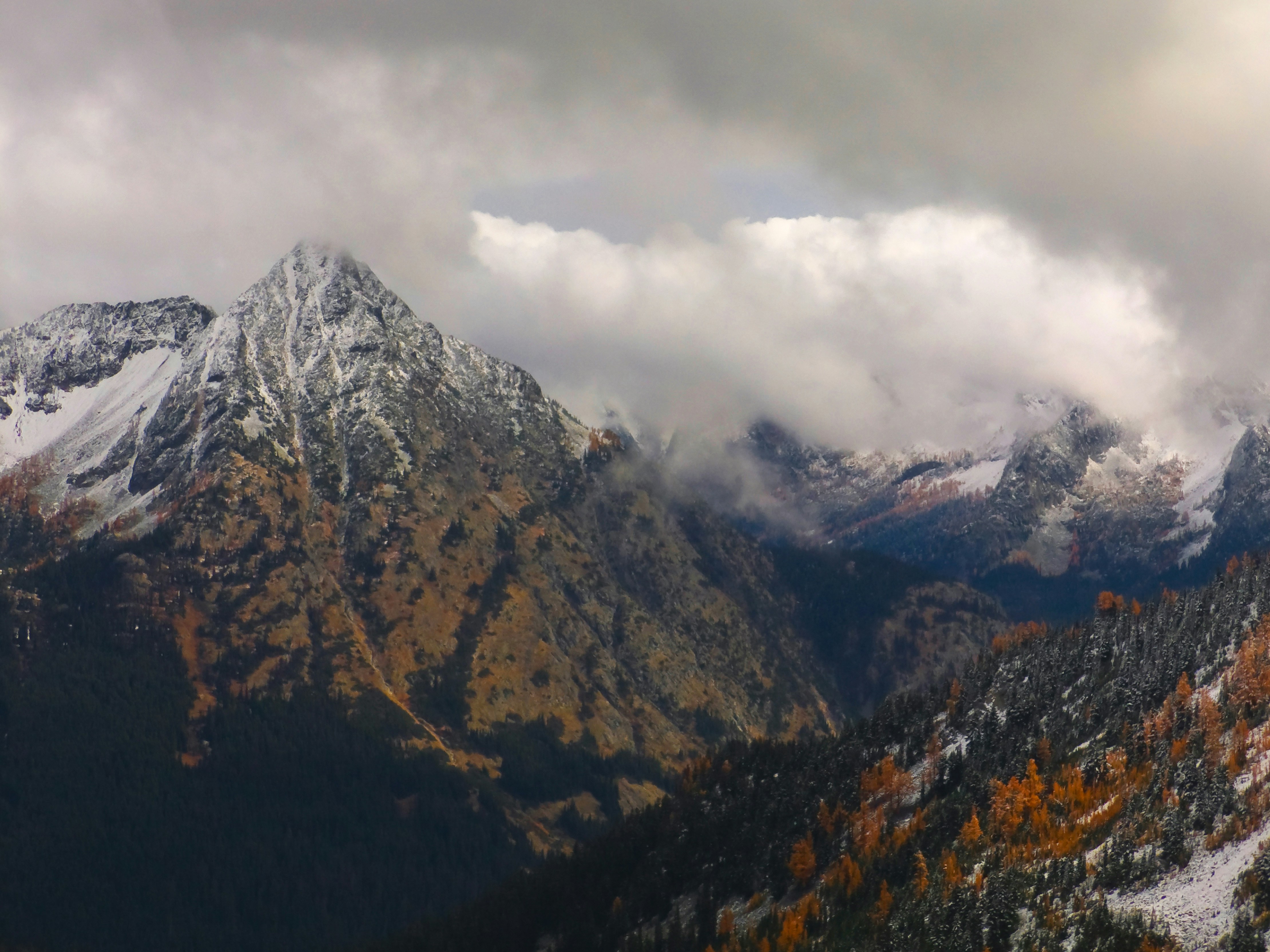 Photo by michael_gallery308