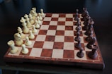 A wooden chessboard set up for a game with light-colored pieces on the left and dark-colored pieces on the right. The board has a checkered pattern, and the pieces are arranged in their starting positions, including pawns, rooks, knights, bishops, a queen, and a king for each color.