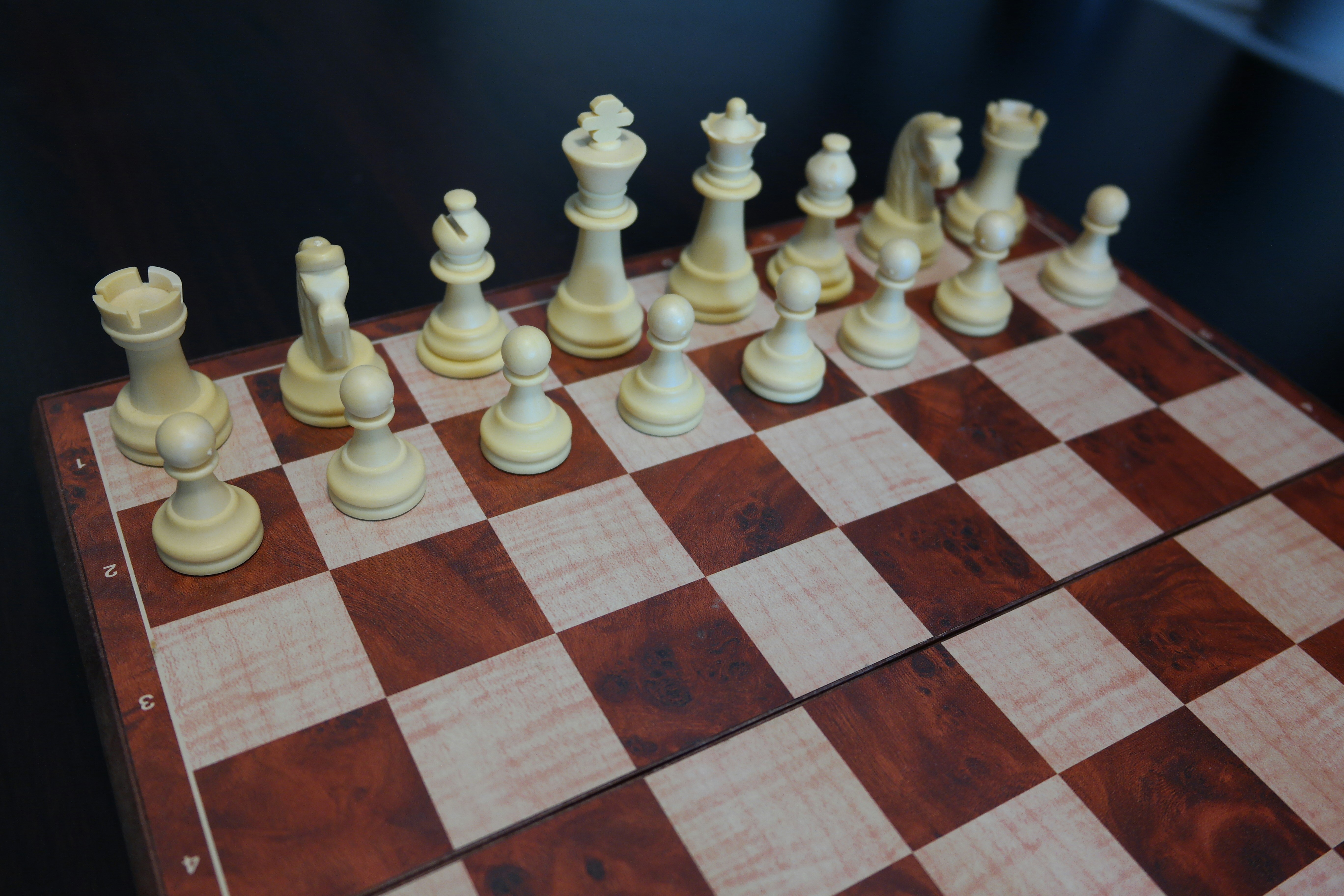Chess board game - gaming.