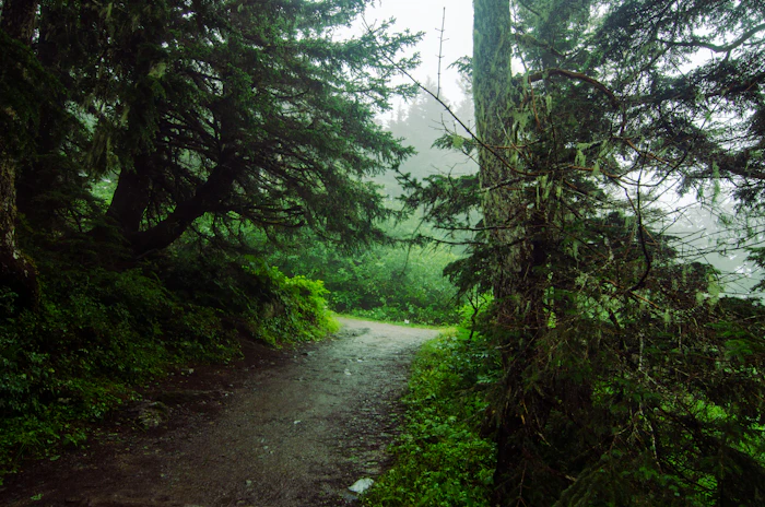 Perseverance Trail