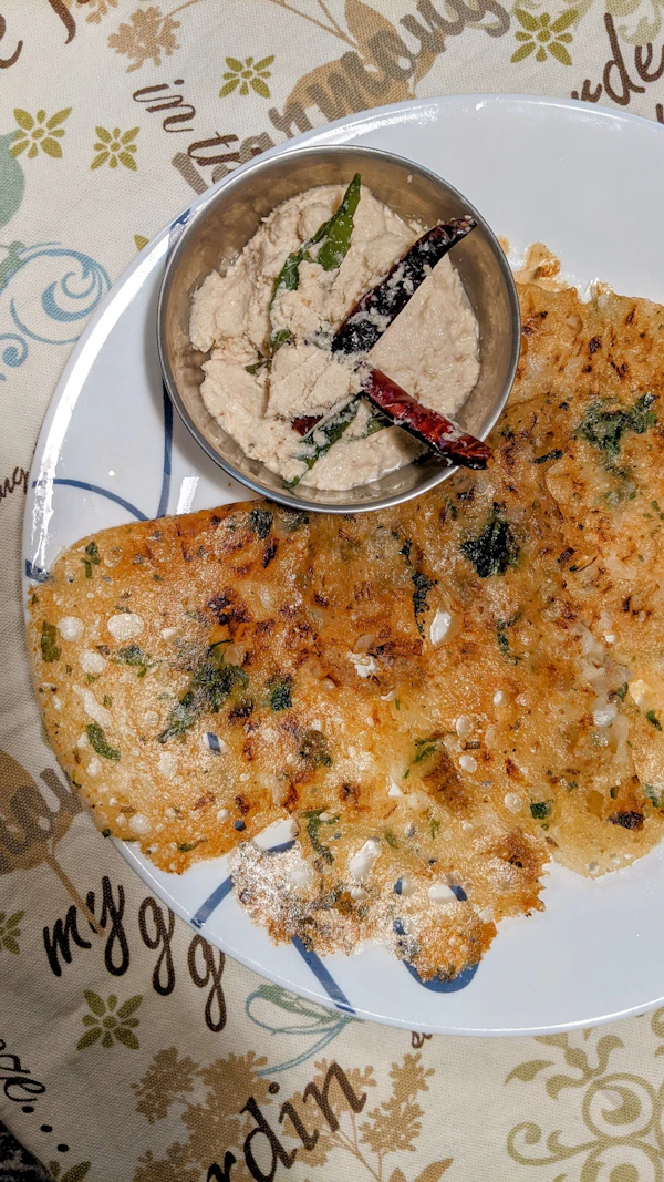 Thick uttapam pancake studded with onion, tomato and green chilli