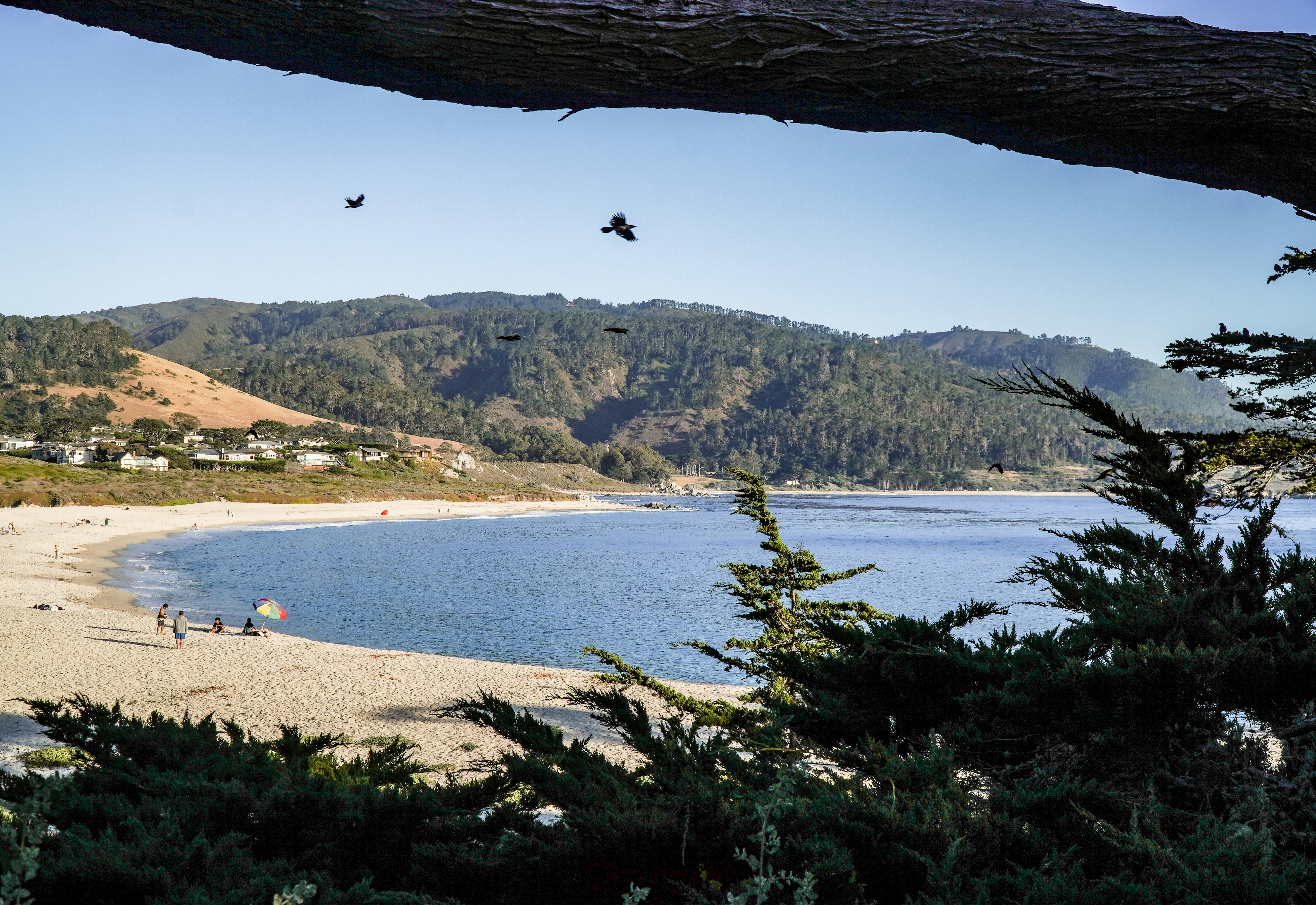 Chuck Roberts Park