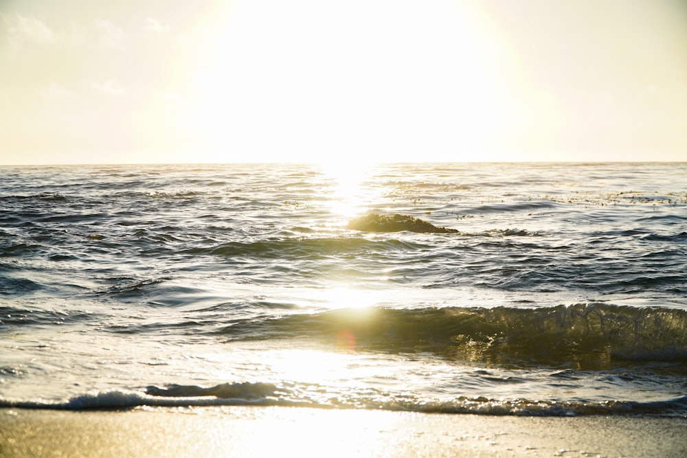 waves on a beach