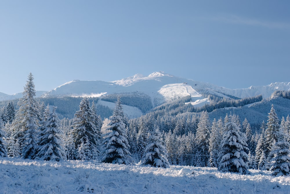 a snowy mountain range