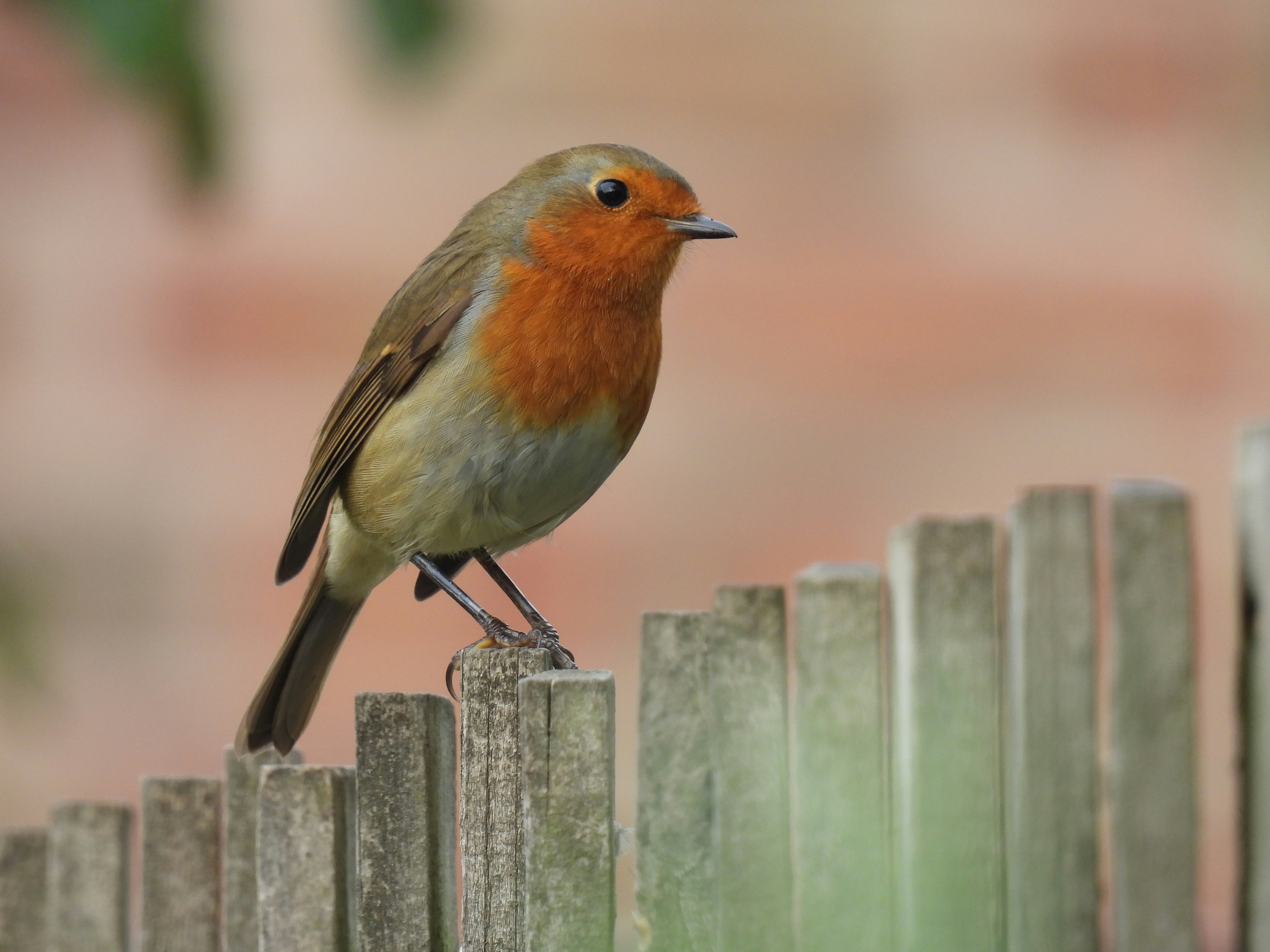 Photo by kevinyates64