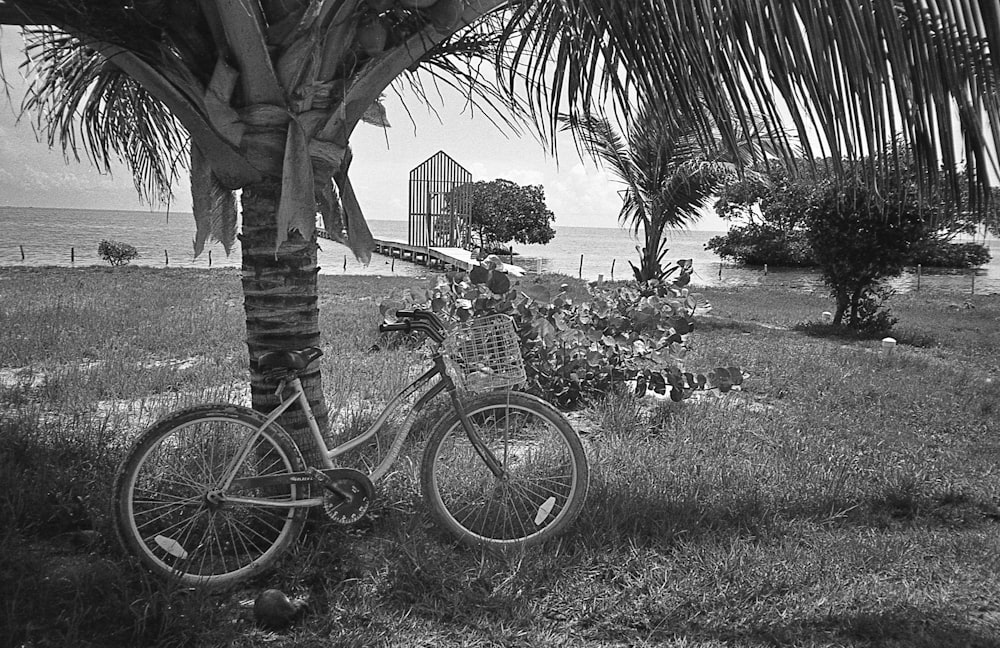 a bicycle is parked by a tree