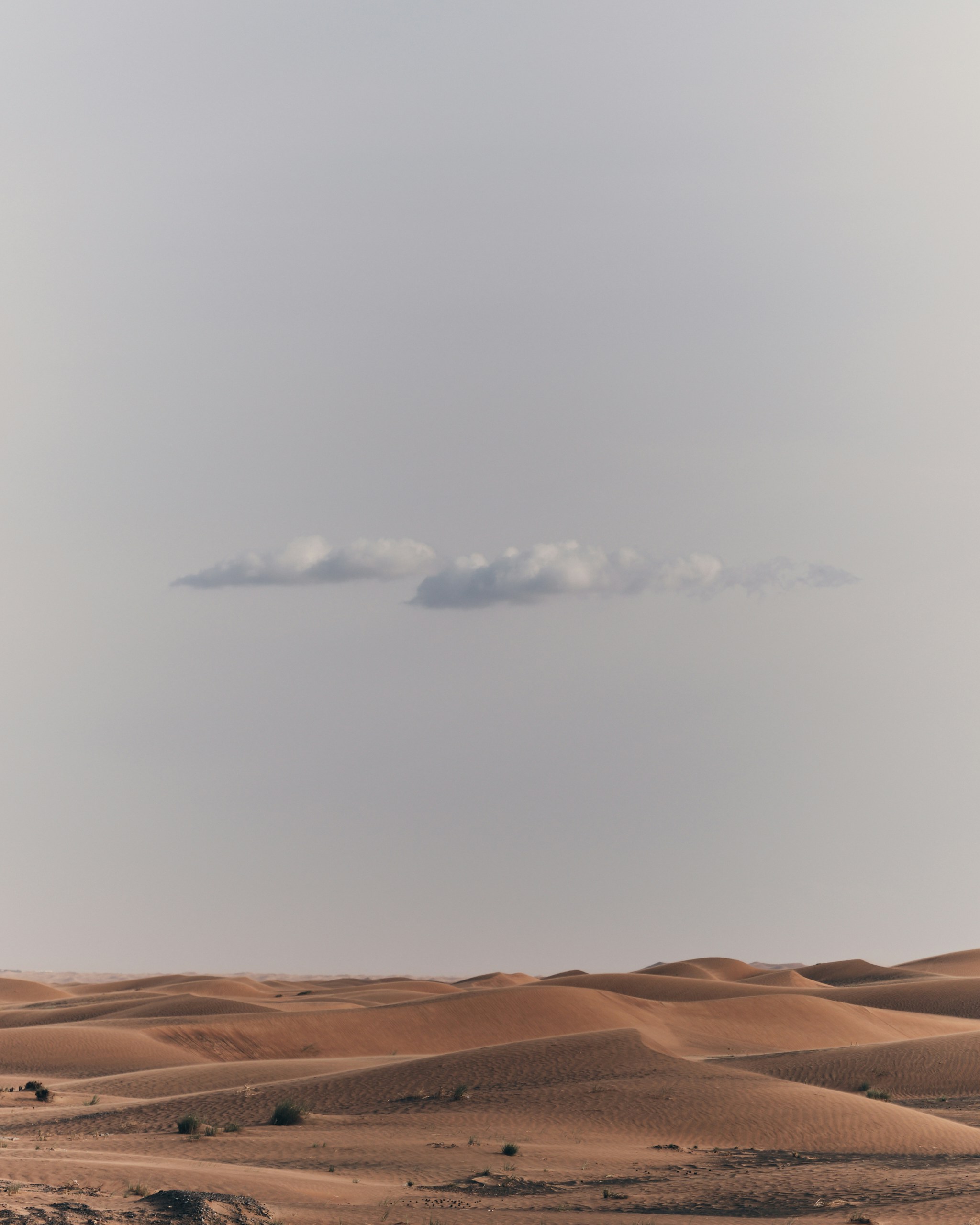 Photo by lazyeyedone