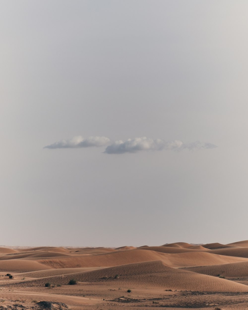 a desert landscape with a cloudy sky