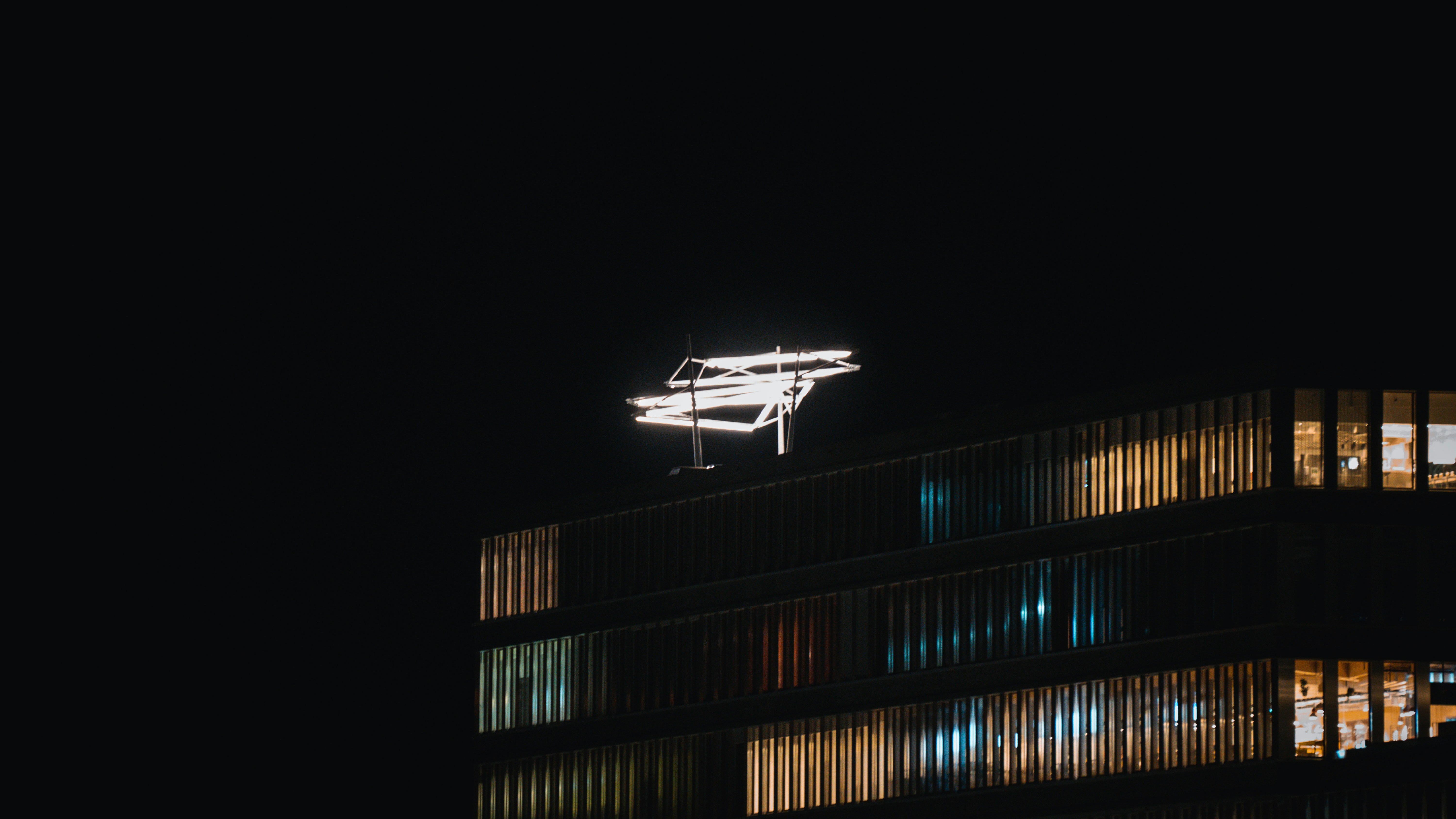 photo-1662193967208-b6ac310362eb?ixid=M3wxMjA3fDB8MXxzZWFyY2h8MTR8fGhvbmthaSUyMHN0YXIlMjByYWlsJTIwZmlyZWZseXxlbnwwfHx8fDE3NjI4MDE4ODB8MA\u0026ixlib=rb-4.1.0