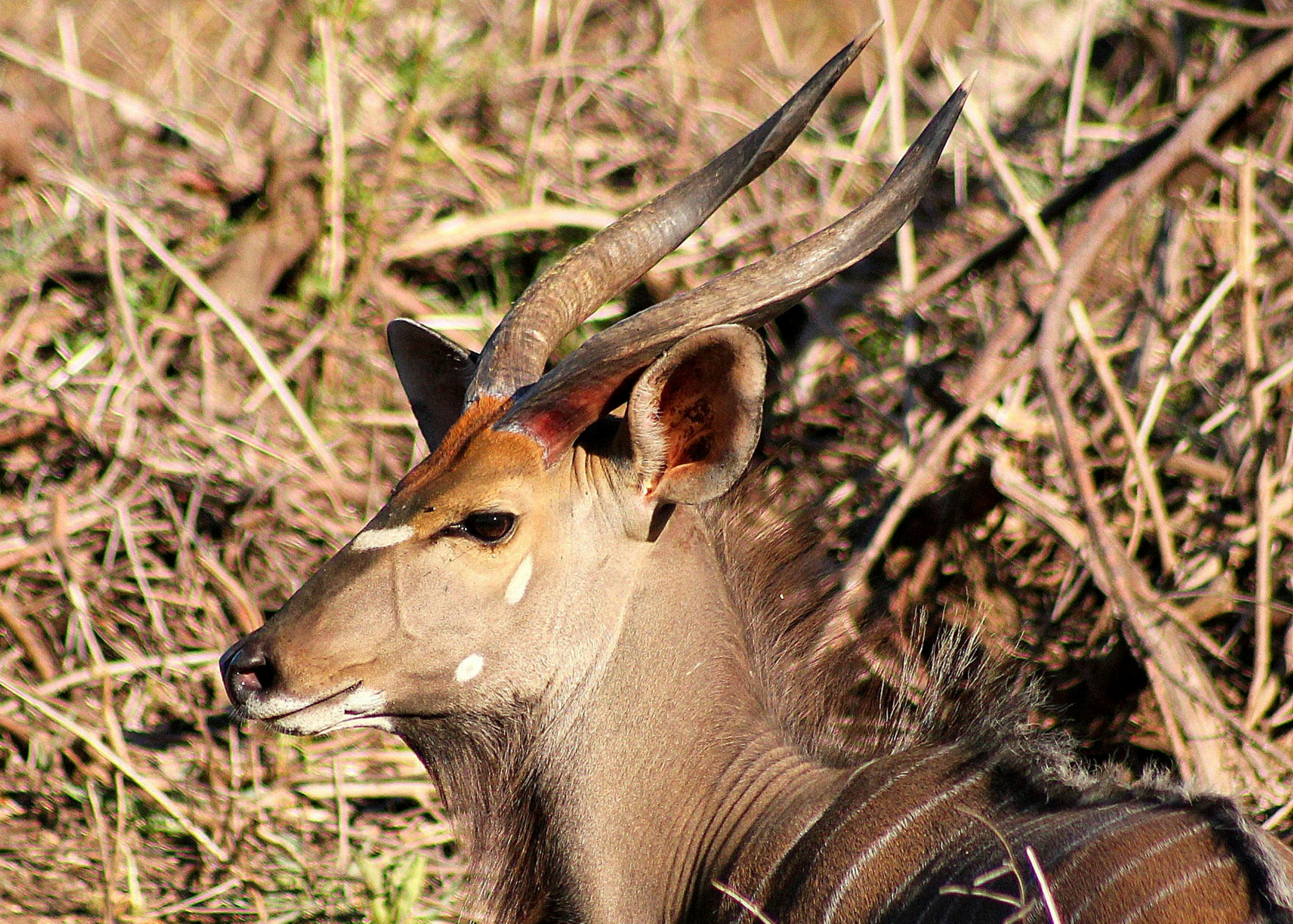 Photo by craigmanners_com