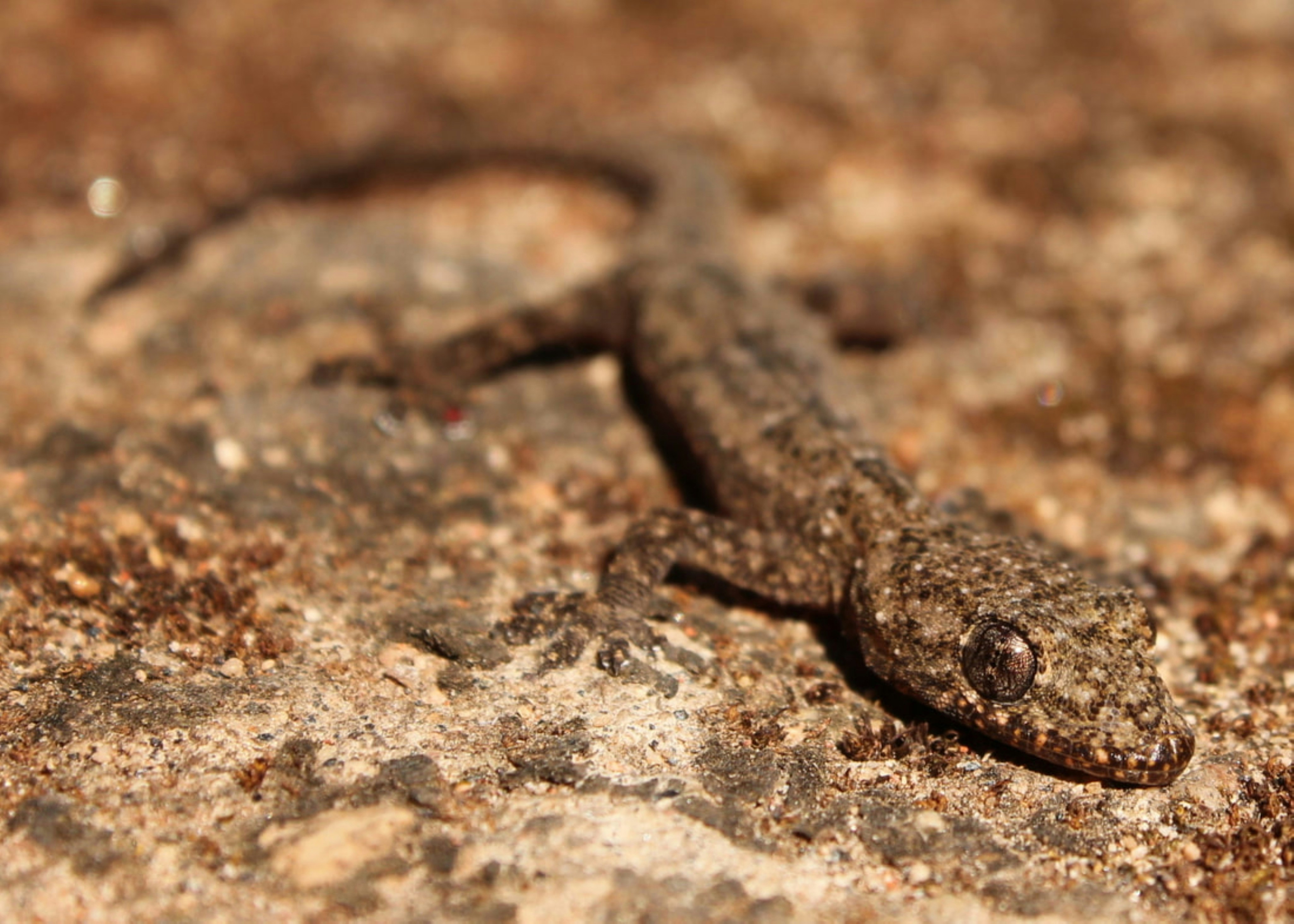 Photo by craigmanners_com