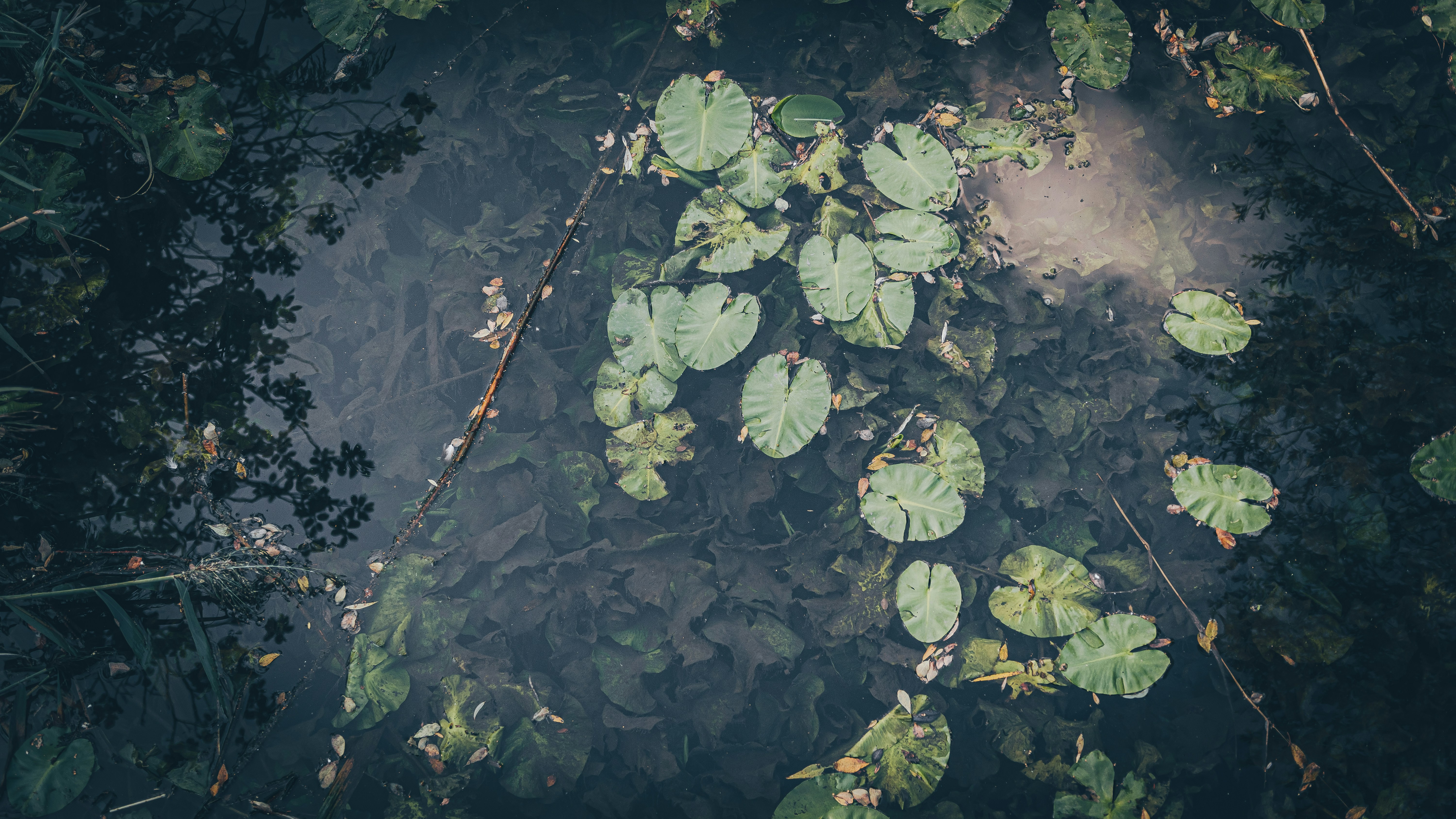 Photo by milica_spasojevic