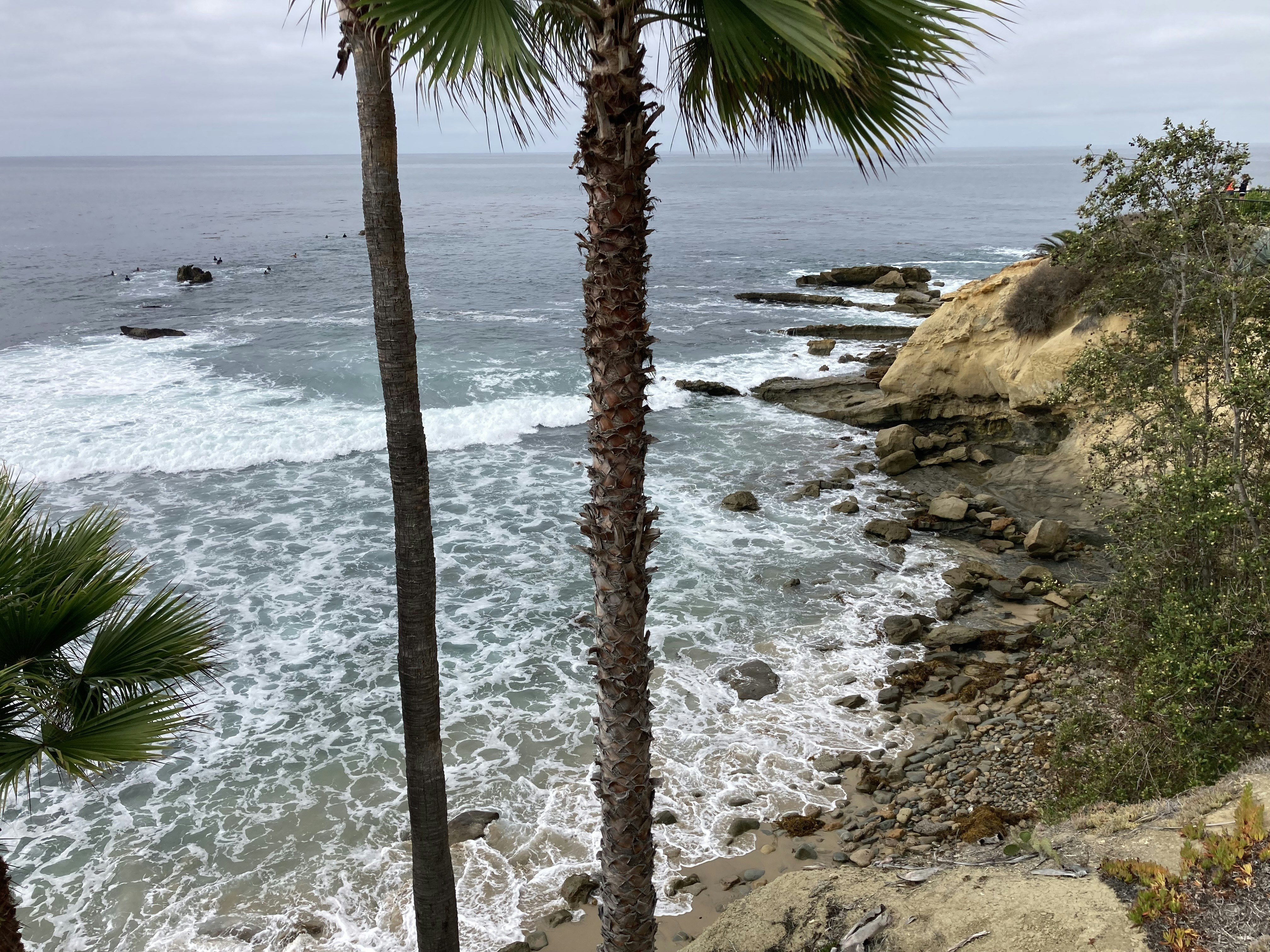 Photo by bobdaniels78