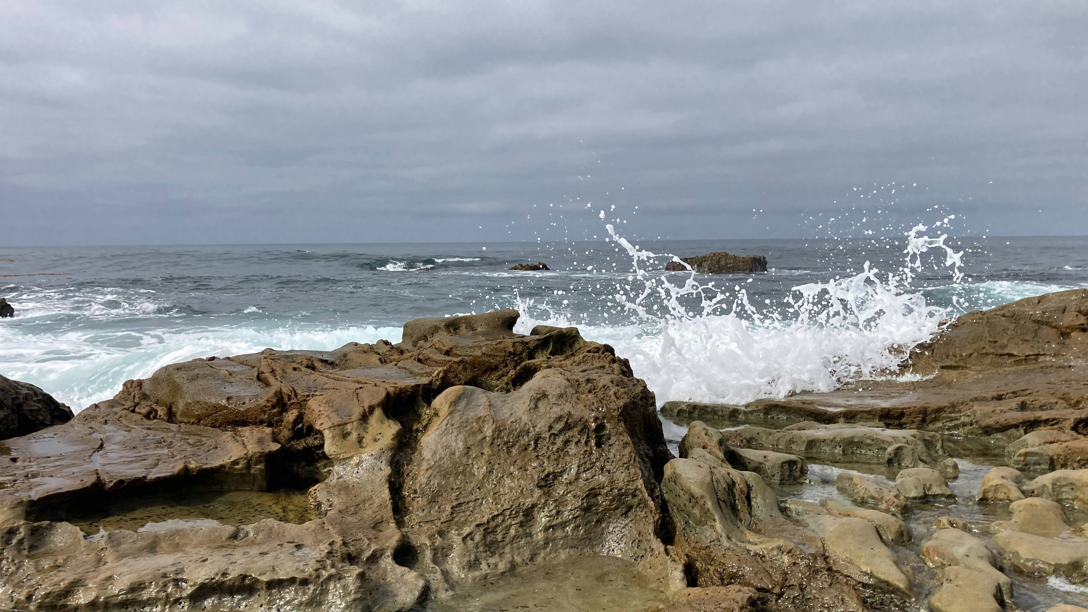 Photo by bobdaniels78