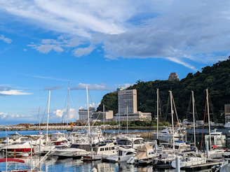 A vibrant marina filled with sailboats and yachts against a backdrop of lush green hills.
