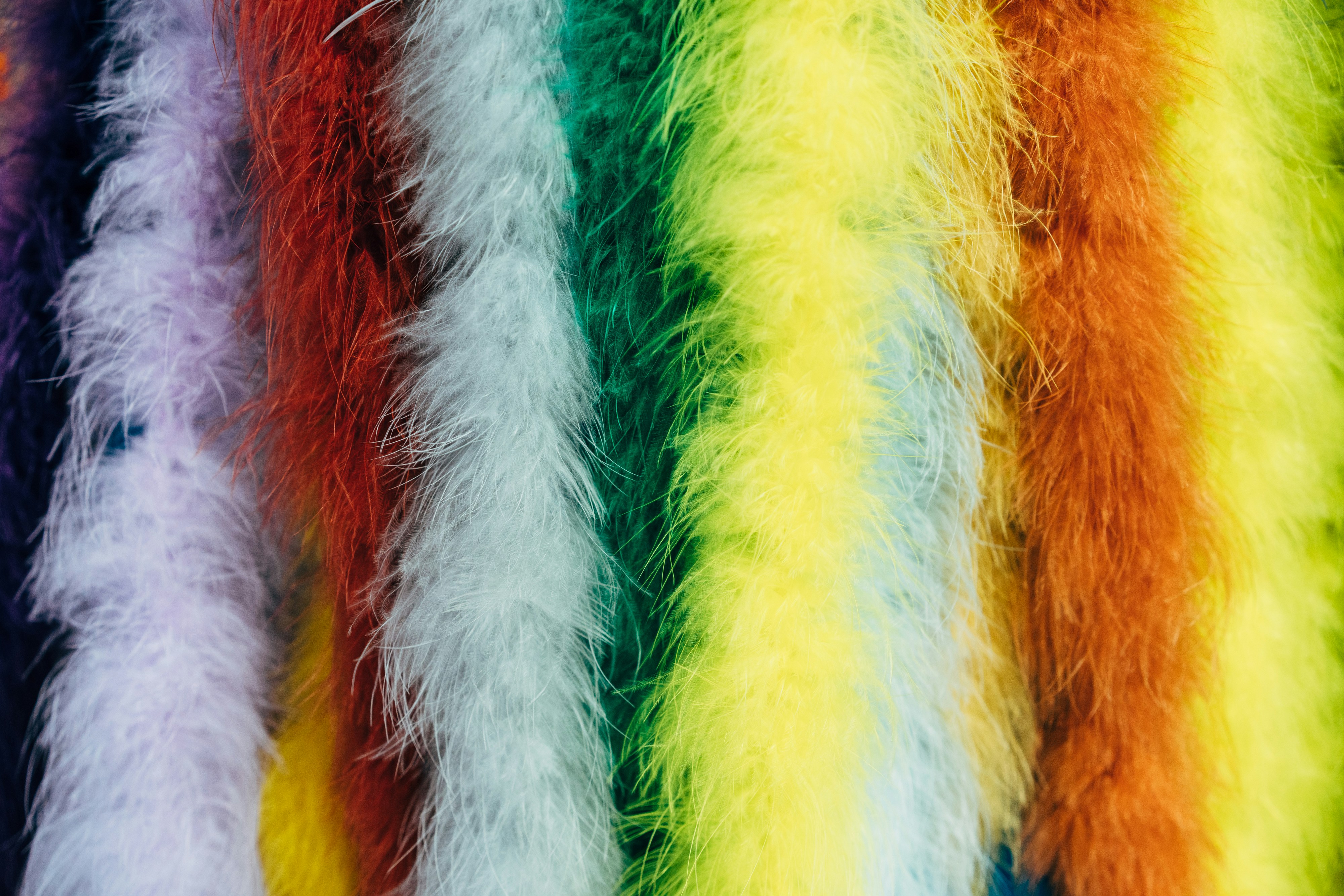 Un primer plano de un par de animales peludos blancos y naranjas