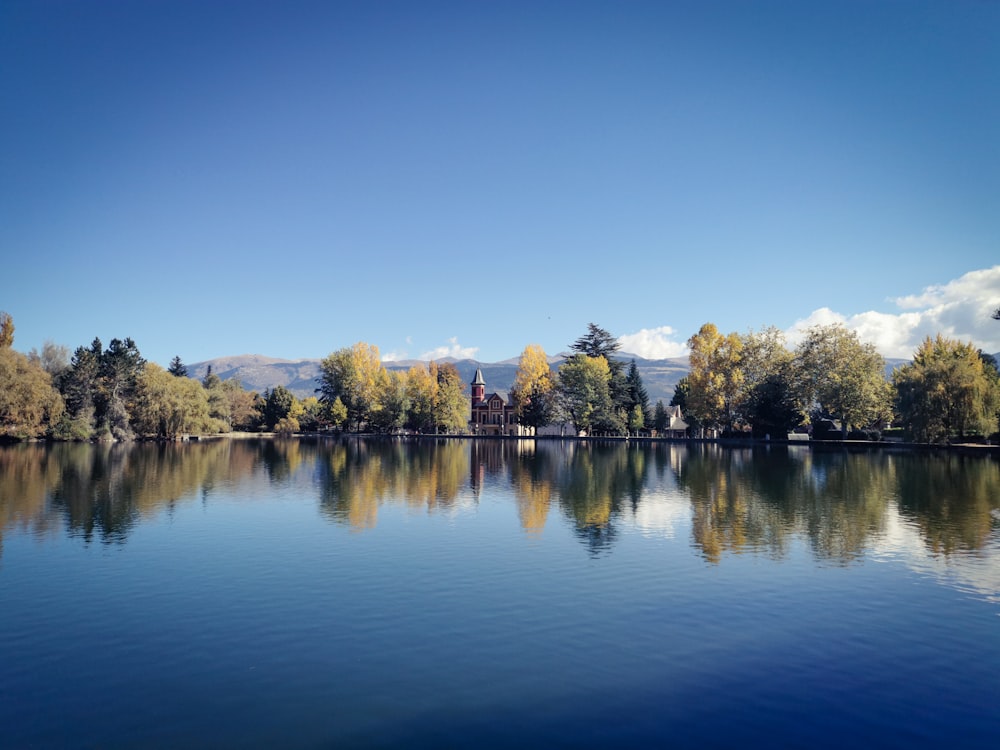 a body of water with trees around it