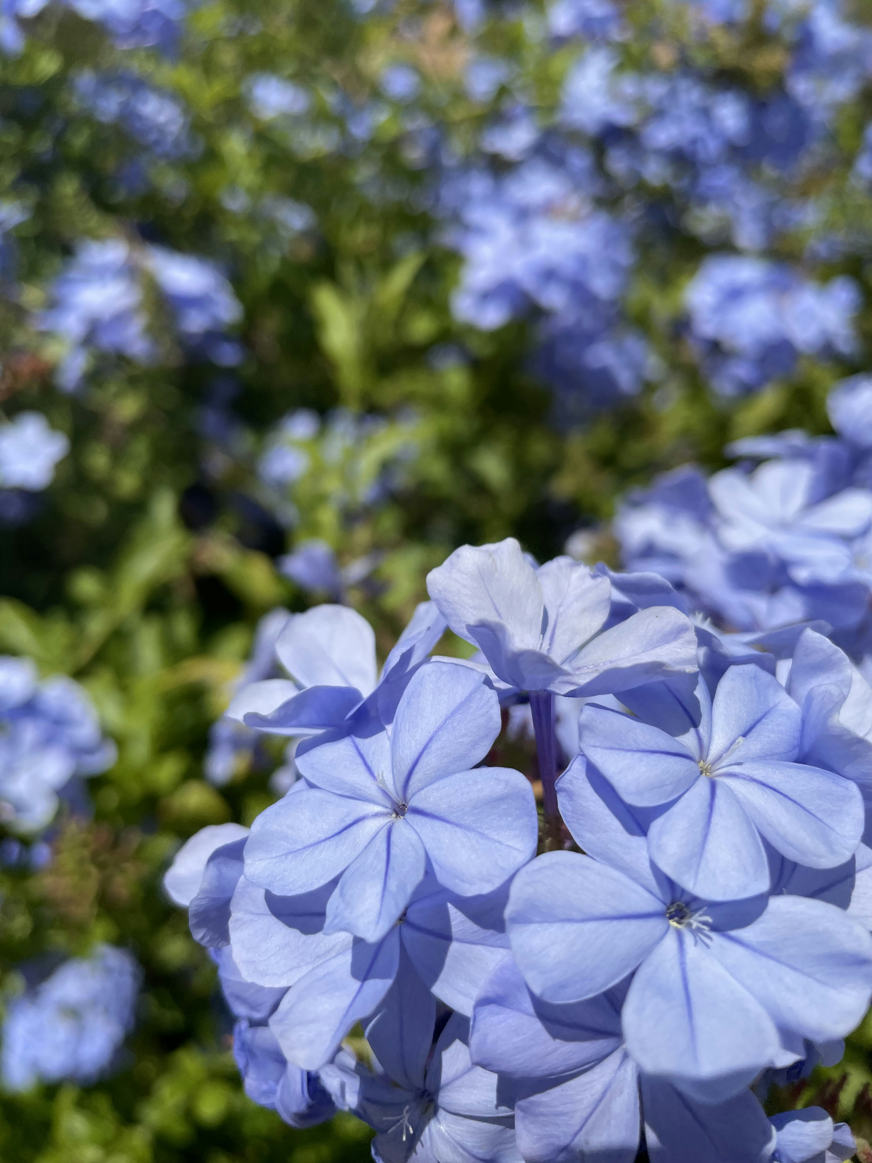 Photo by s_haigh2010