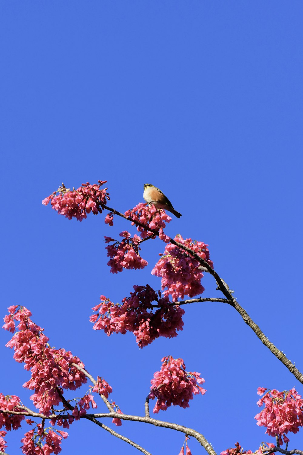 a bird perched on a branch