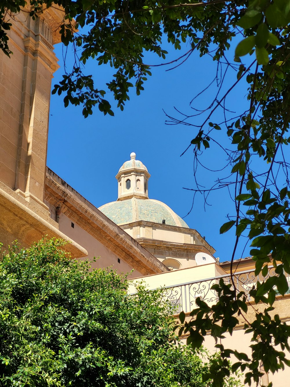 a building with a dome and a tree in front of it