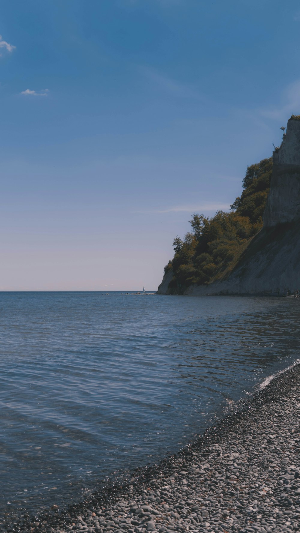 a rocky beach with a cliff and trees on the side