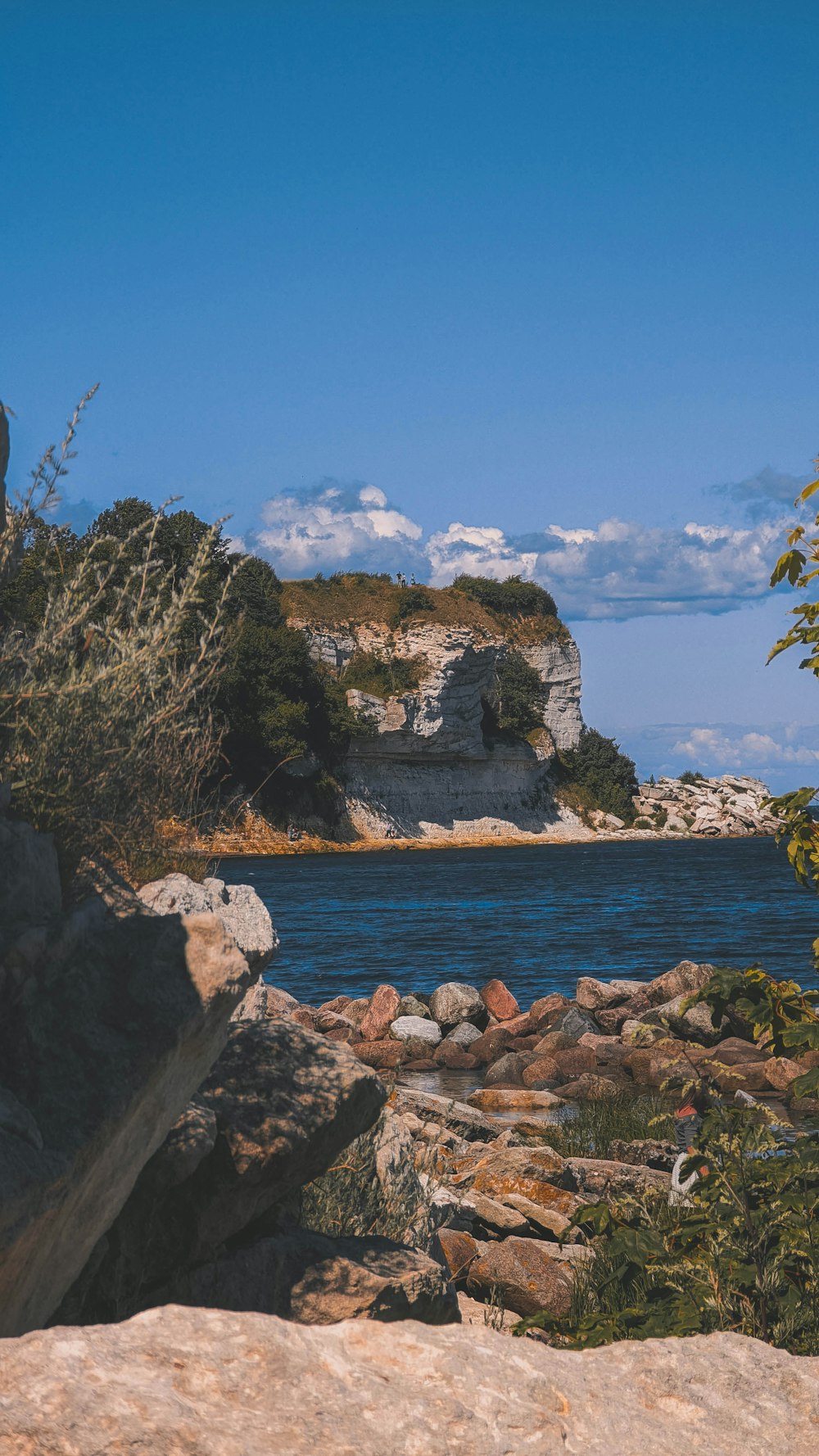 a rocky beach with a body of water and trees