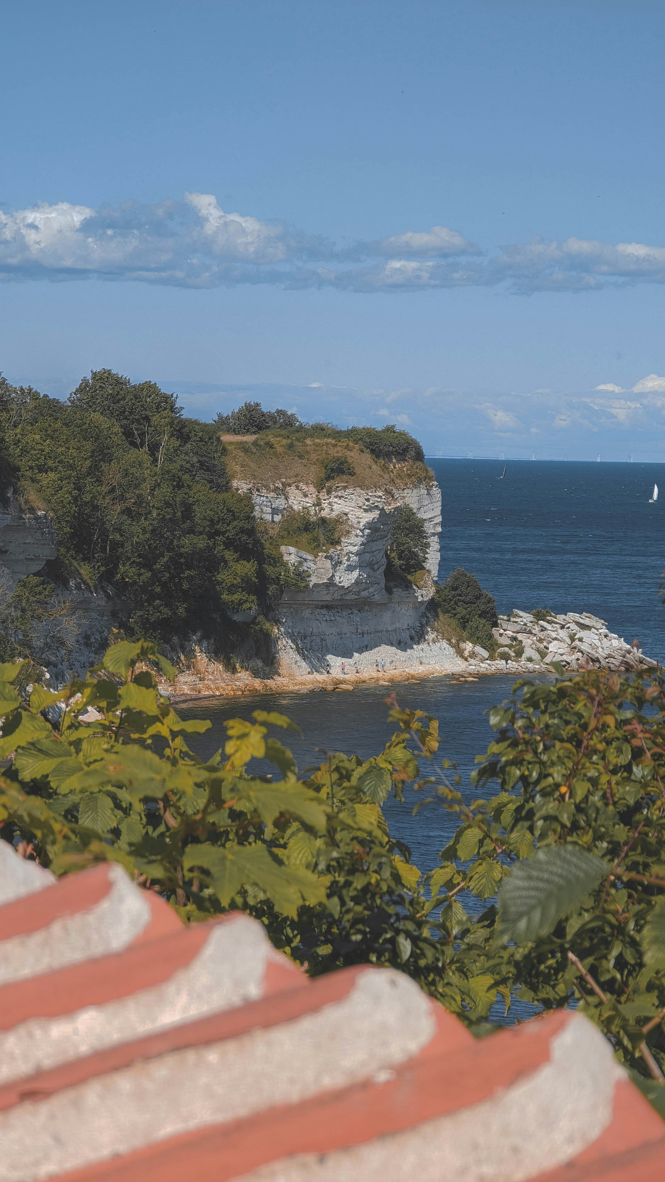 pulau berbatu dengan pepohonan dan perairan di latar belakang