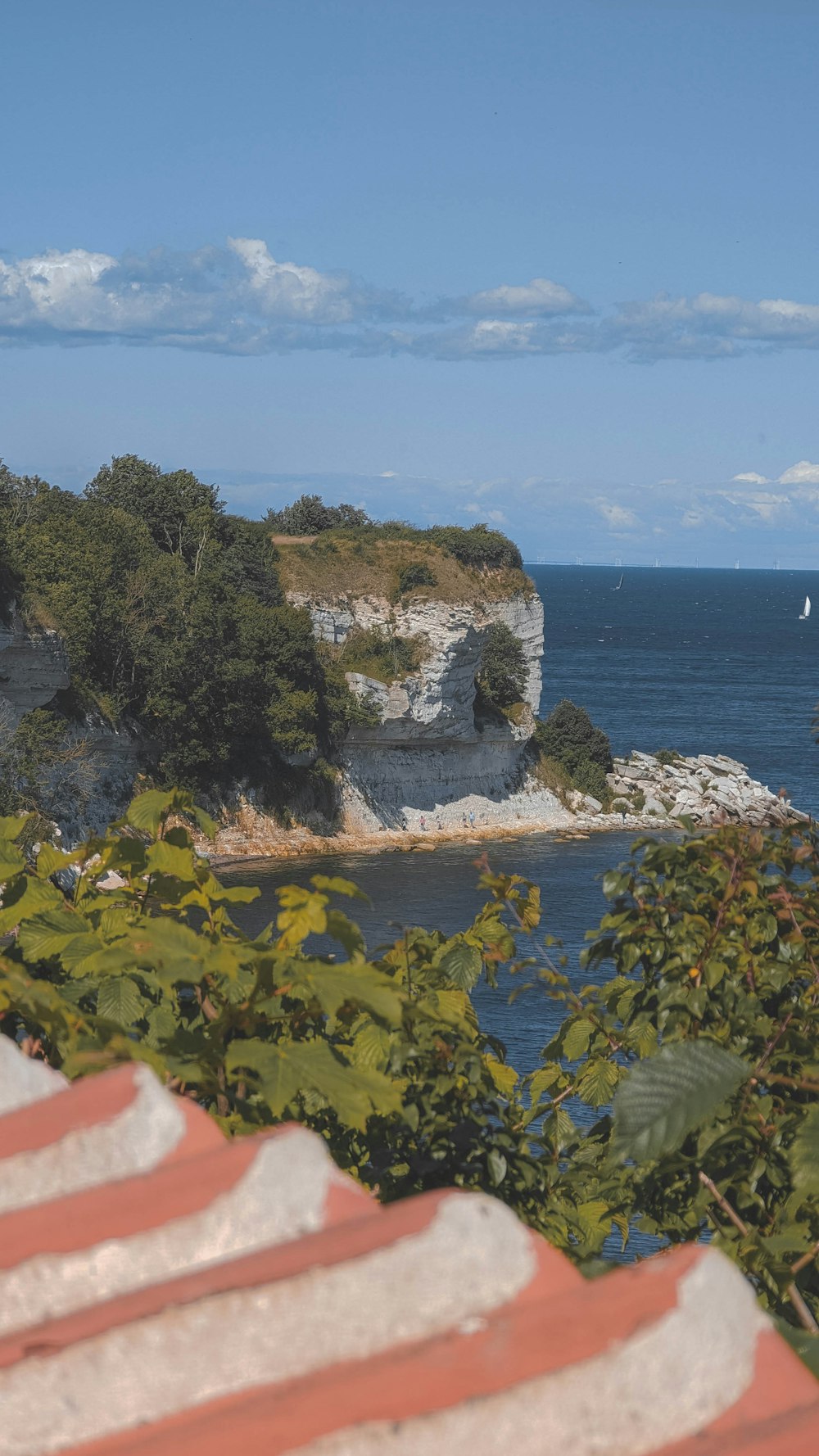 a rocky island with trees and a body of water in the background