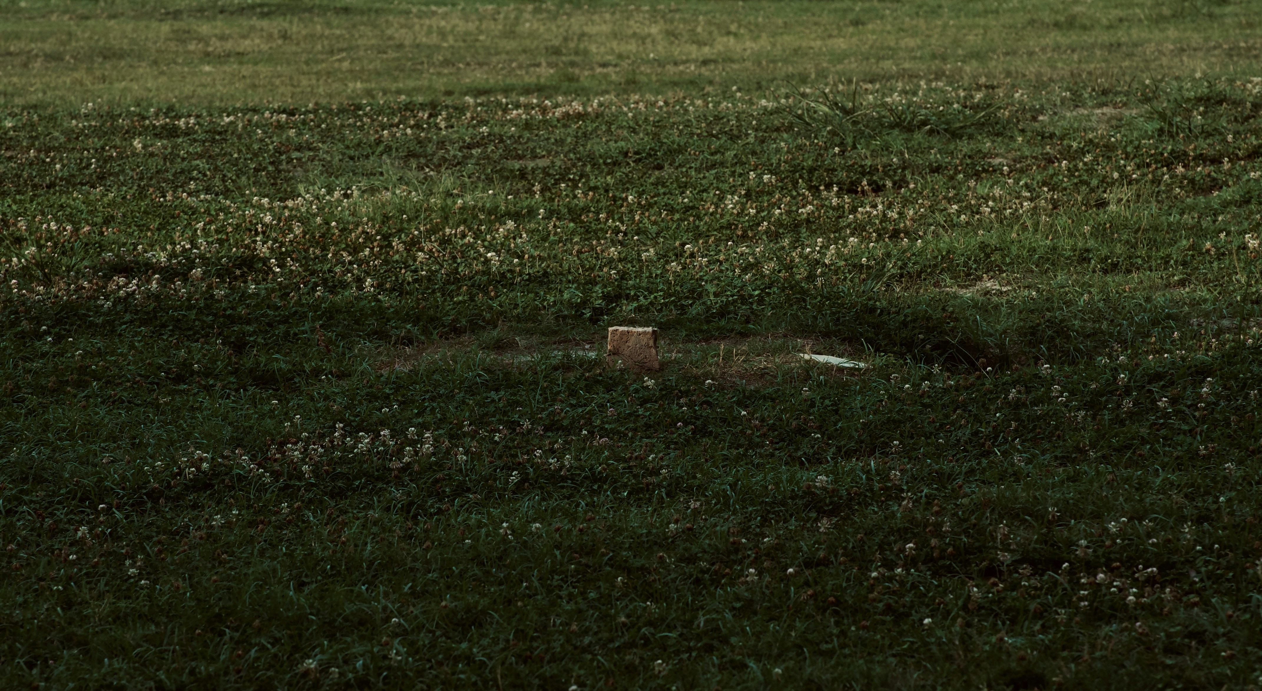 a field of grass with a small wooden structure in it