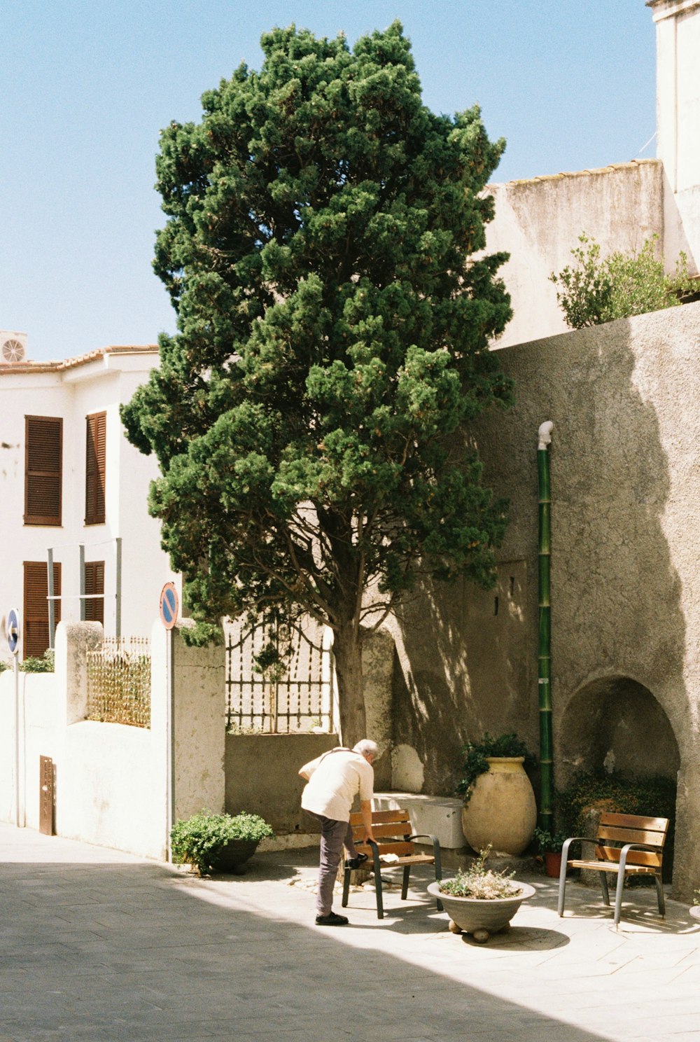 a person standing next to a tree