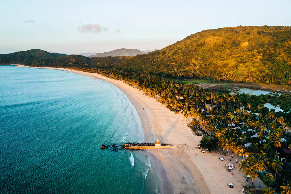 Long sandy beach backed by palm trees