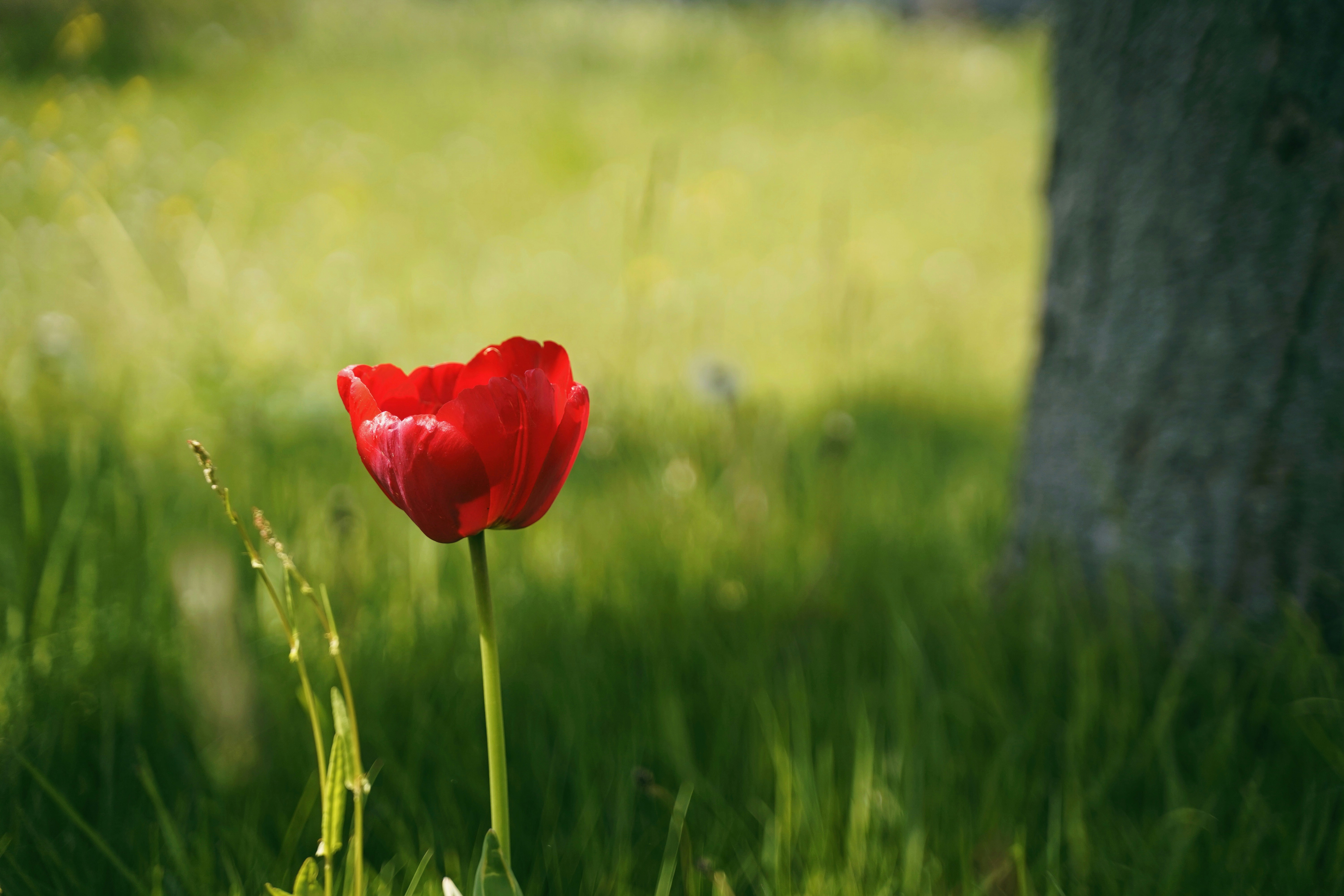 Photo by kuhantilope