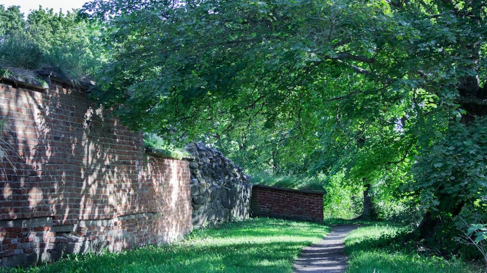 uma parede de pedra com um caminho e árvores ao lado