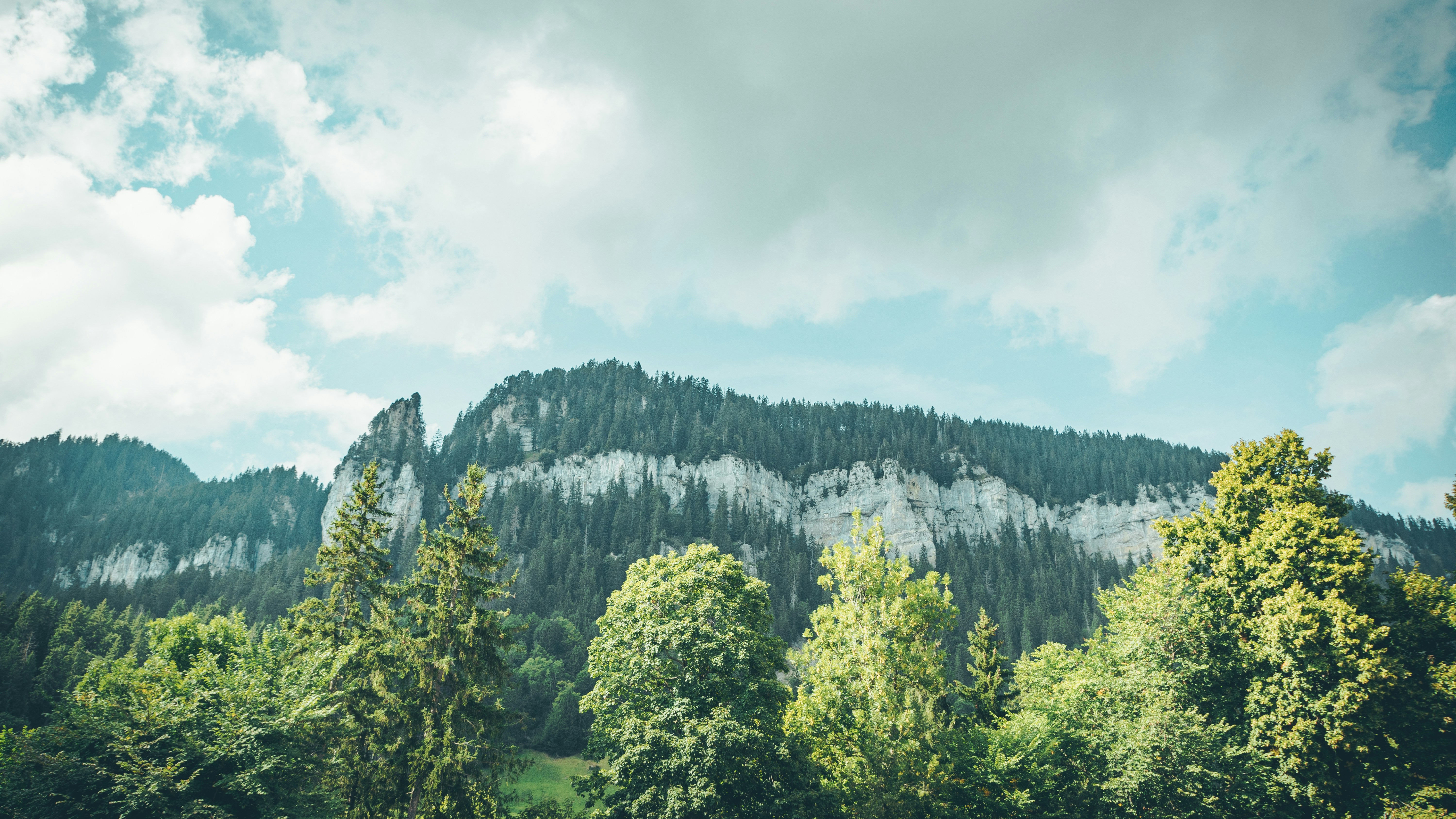 Photo by milica_spasojevic