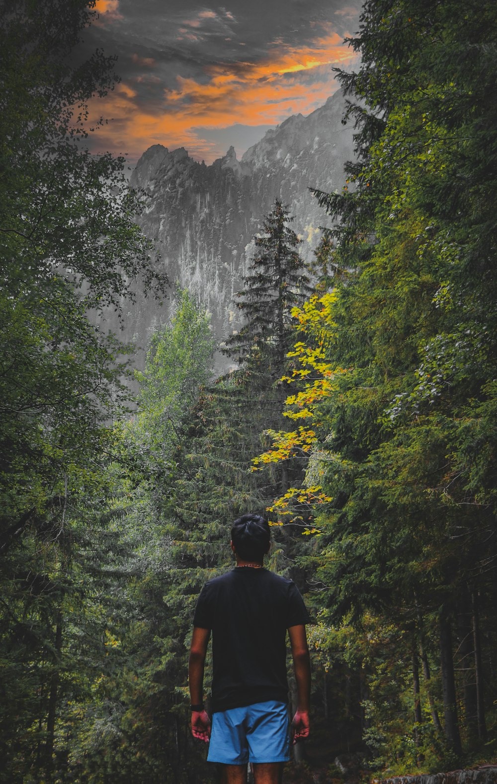 a man walking on a path in a forest